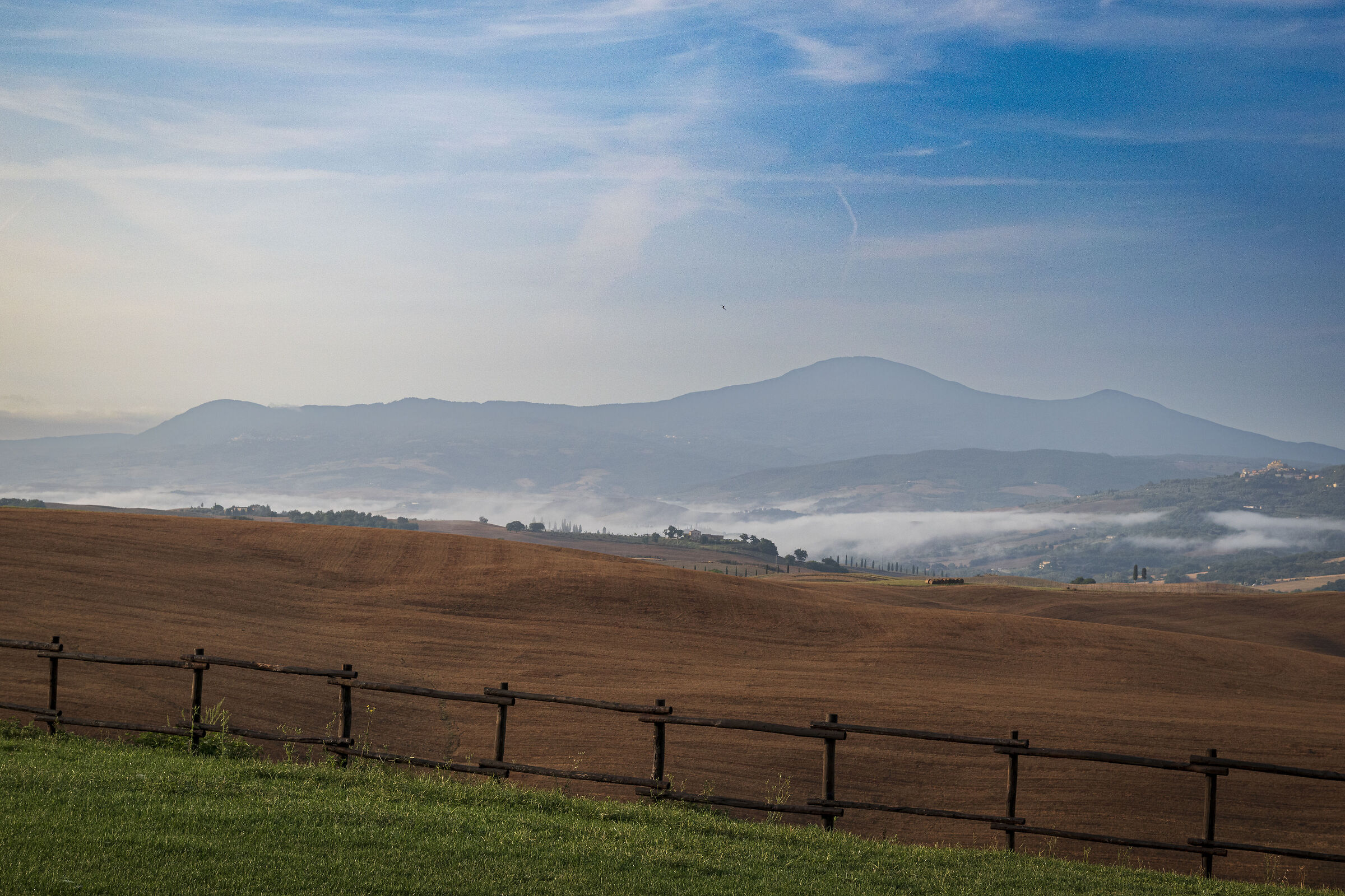 Fields