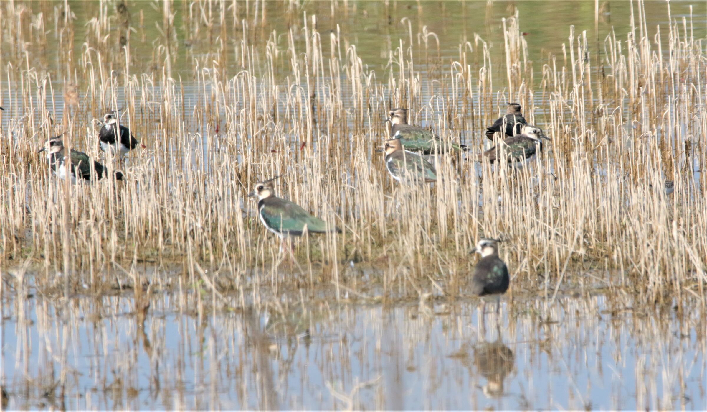 refresh yourself before departure