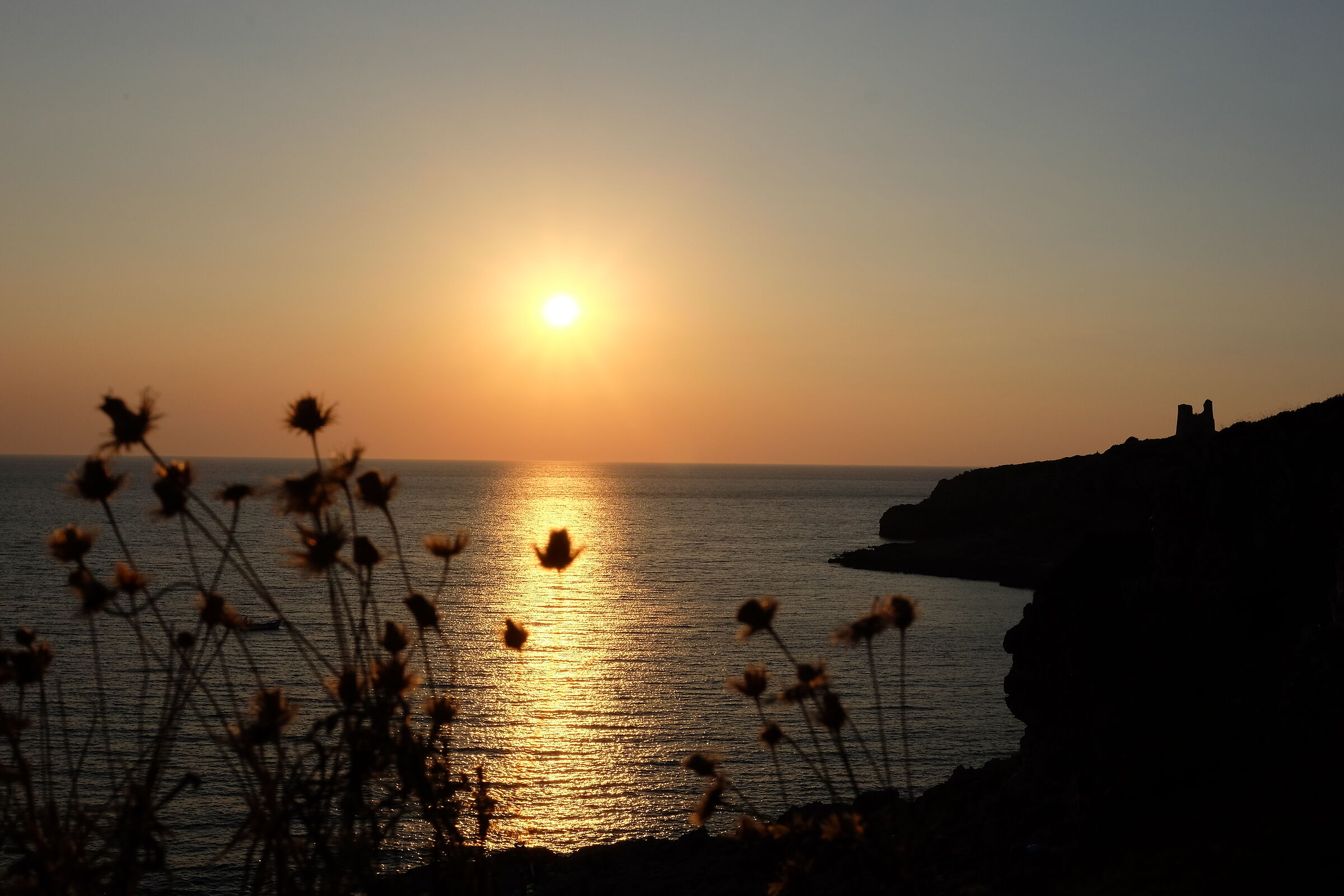 sunset 2