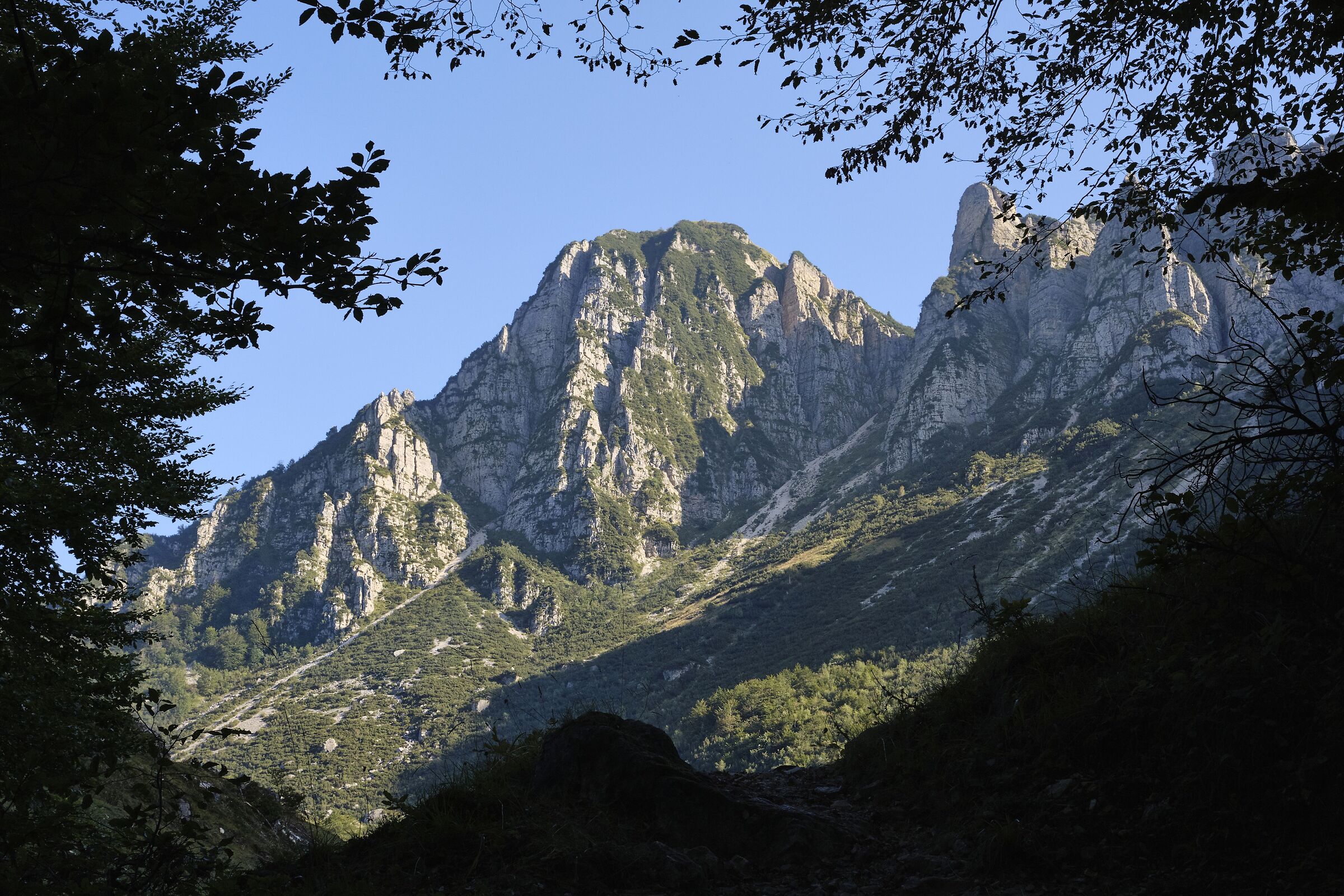 Glimpse from the path