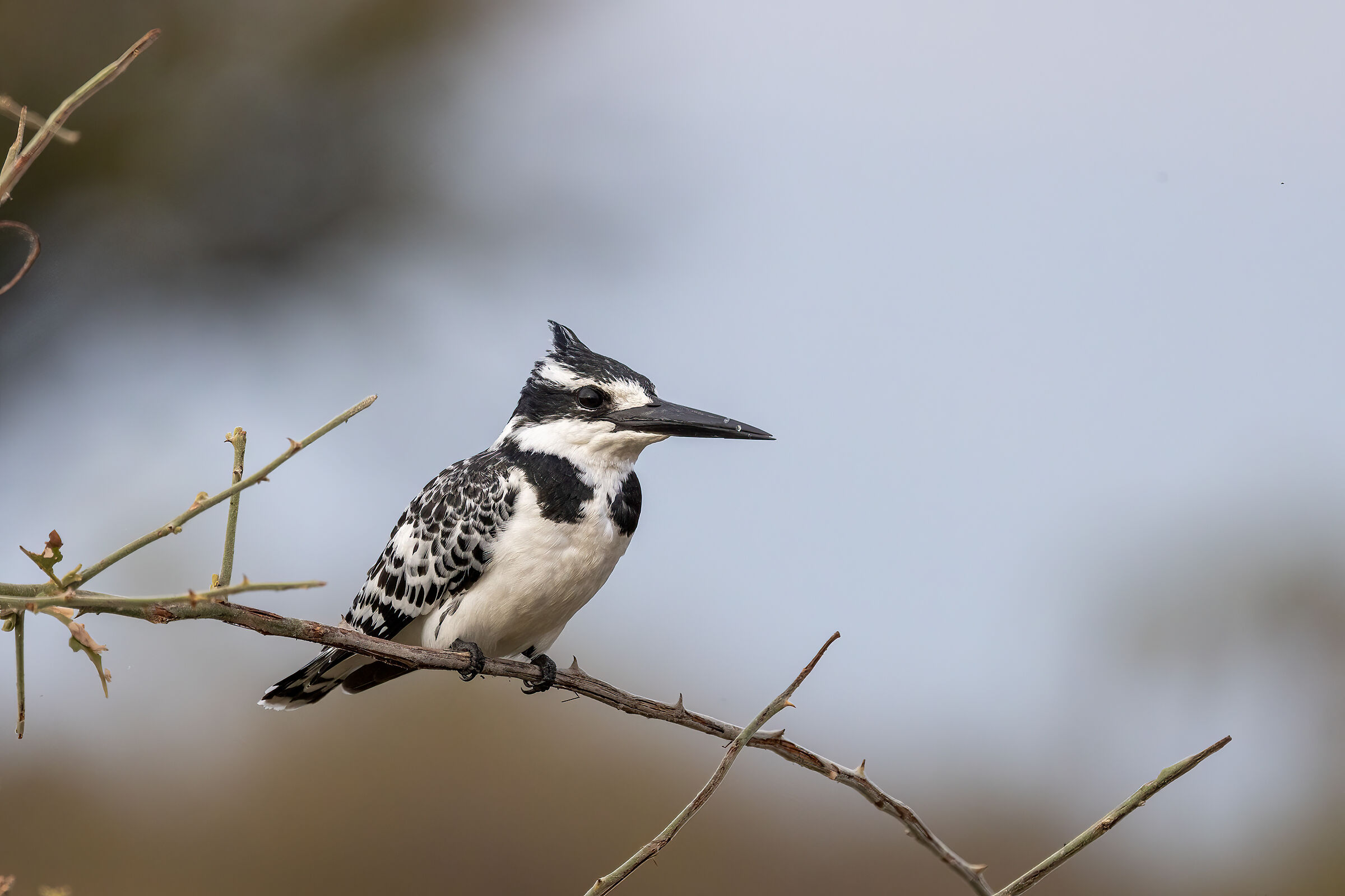 botswana luglio 2022