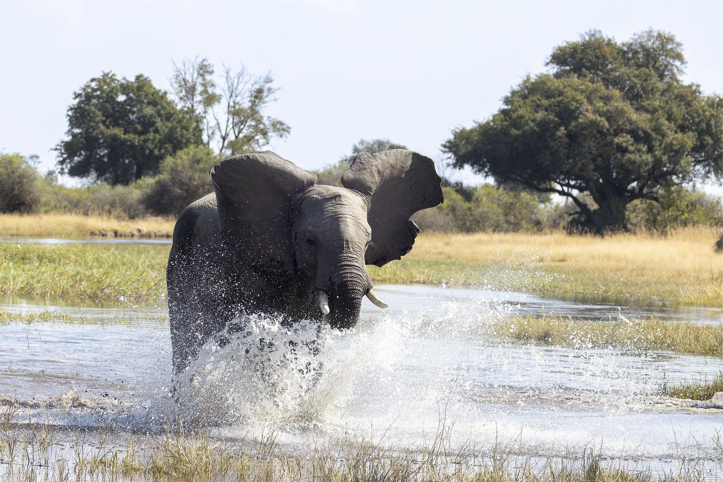 botswana luglio 2022