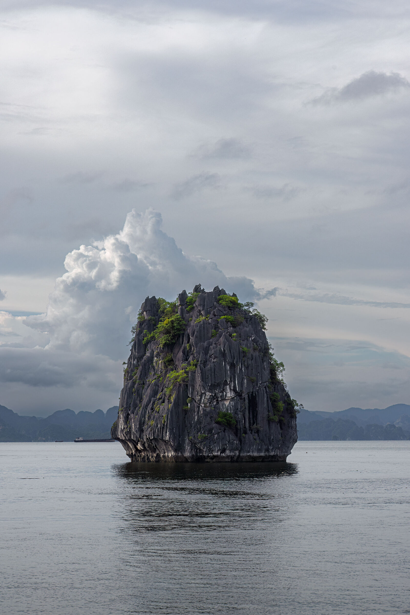 Islet in Ha Long Bay