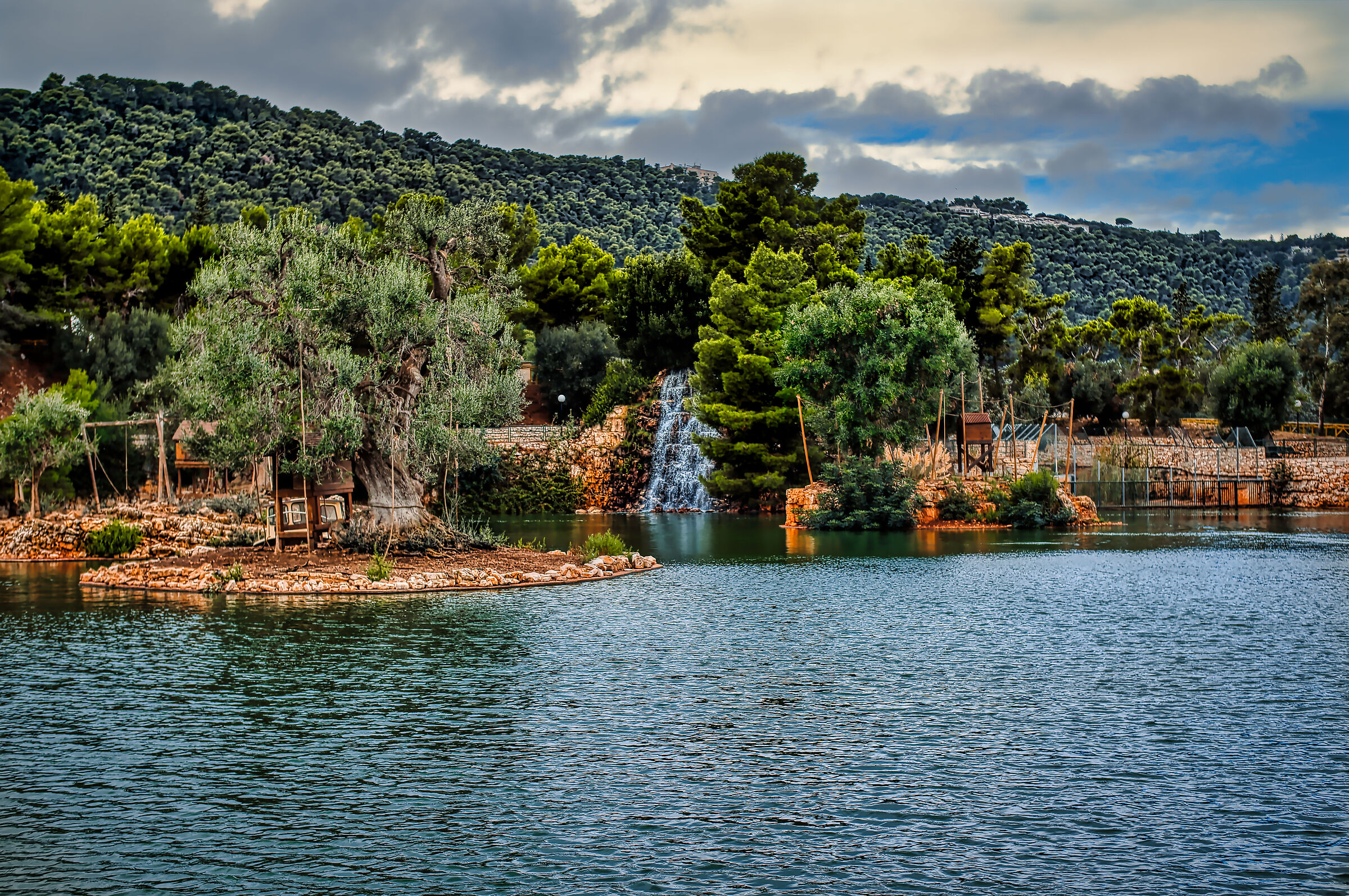 scorci zoo di fasano