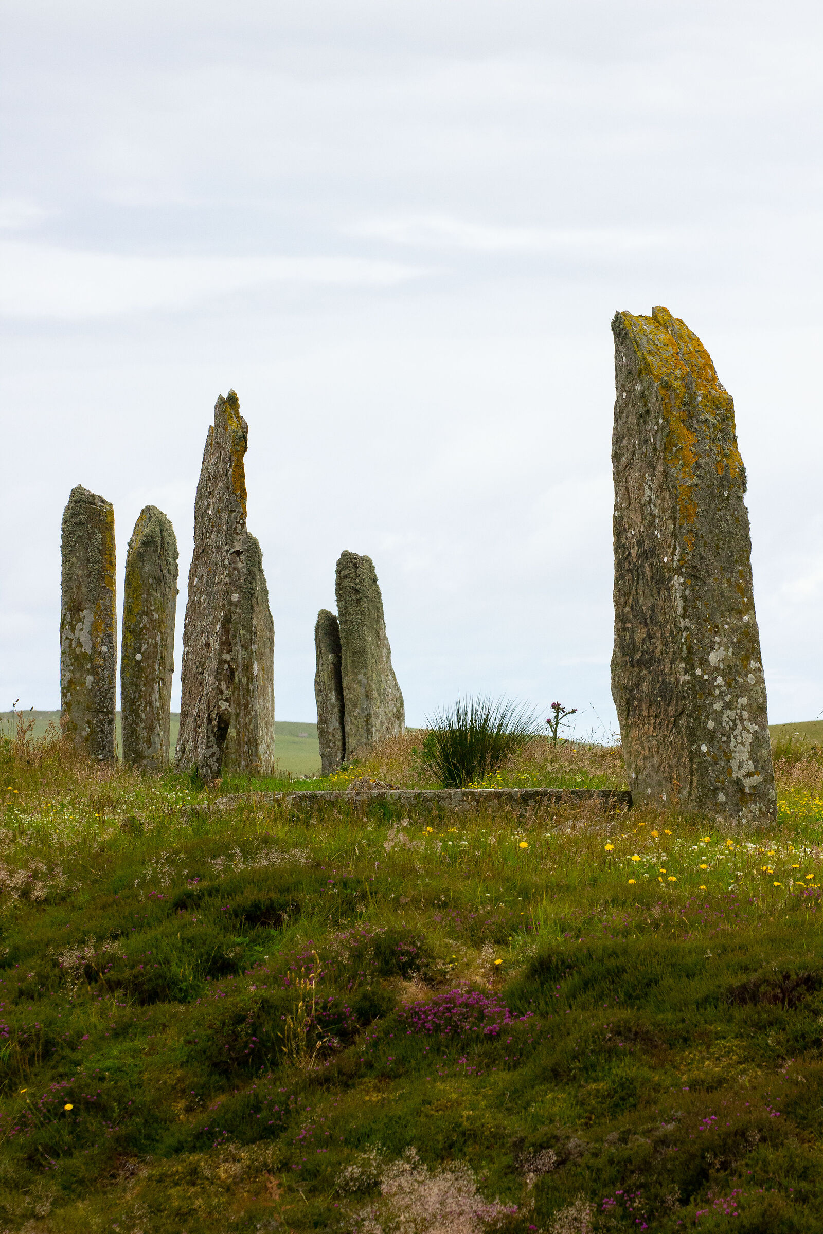 Ring of Brodgar