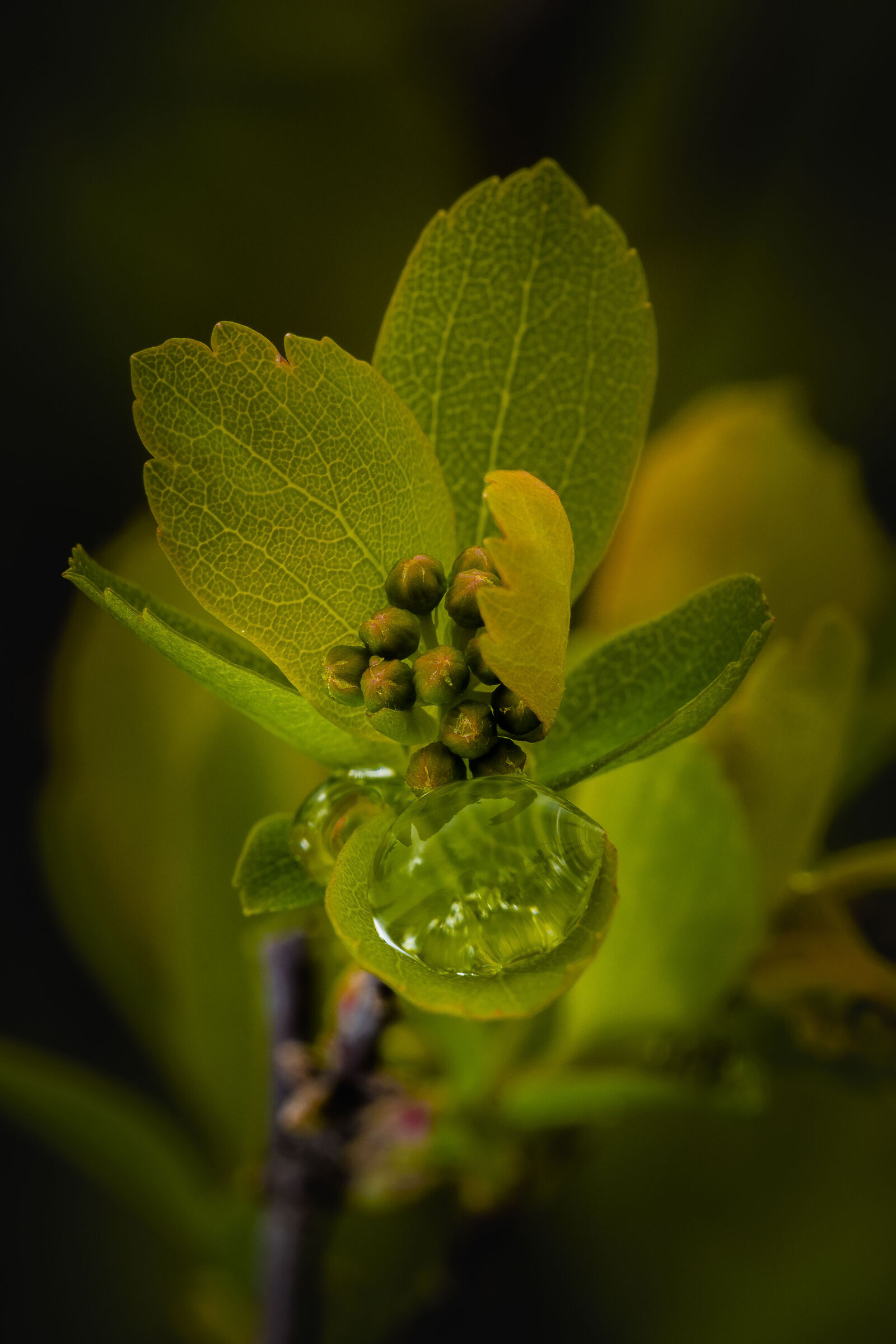 Una piacevole armonia di colori