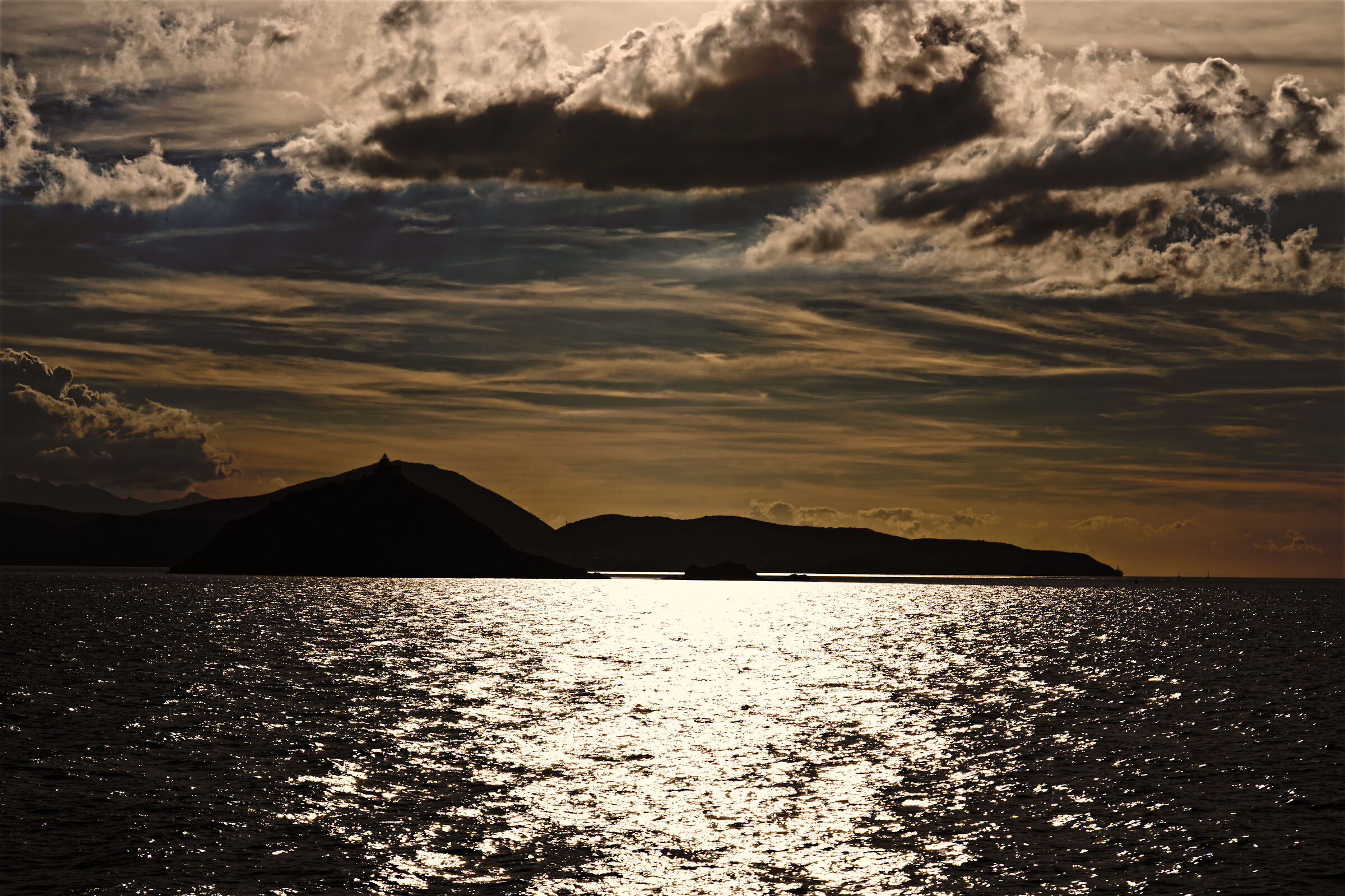 Palmaiola backlight...