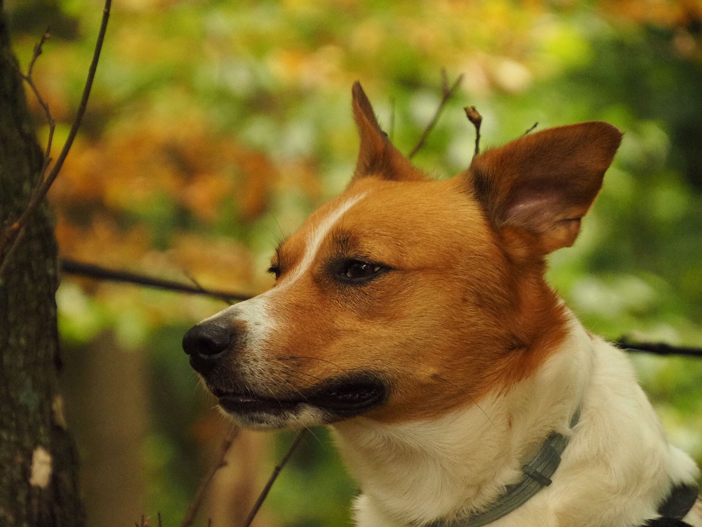 Mmmm... And yet there is something ...