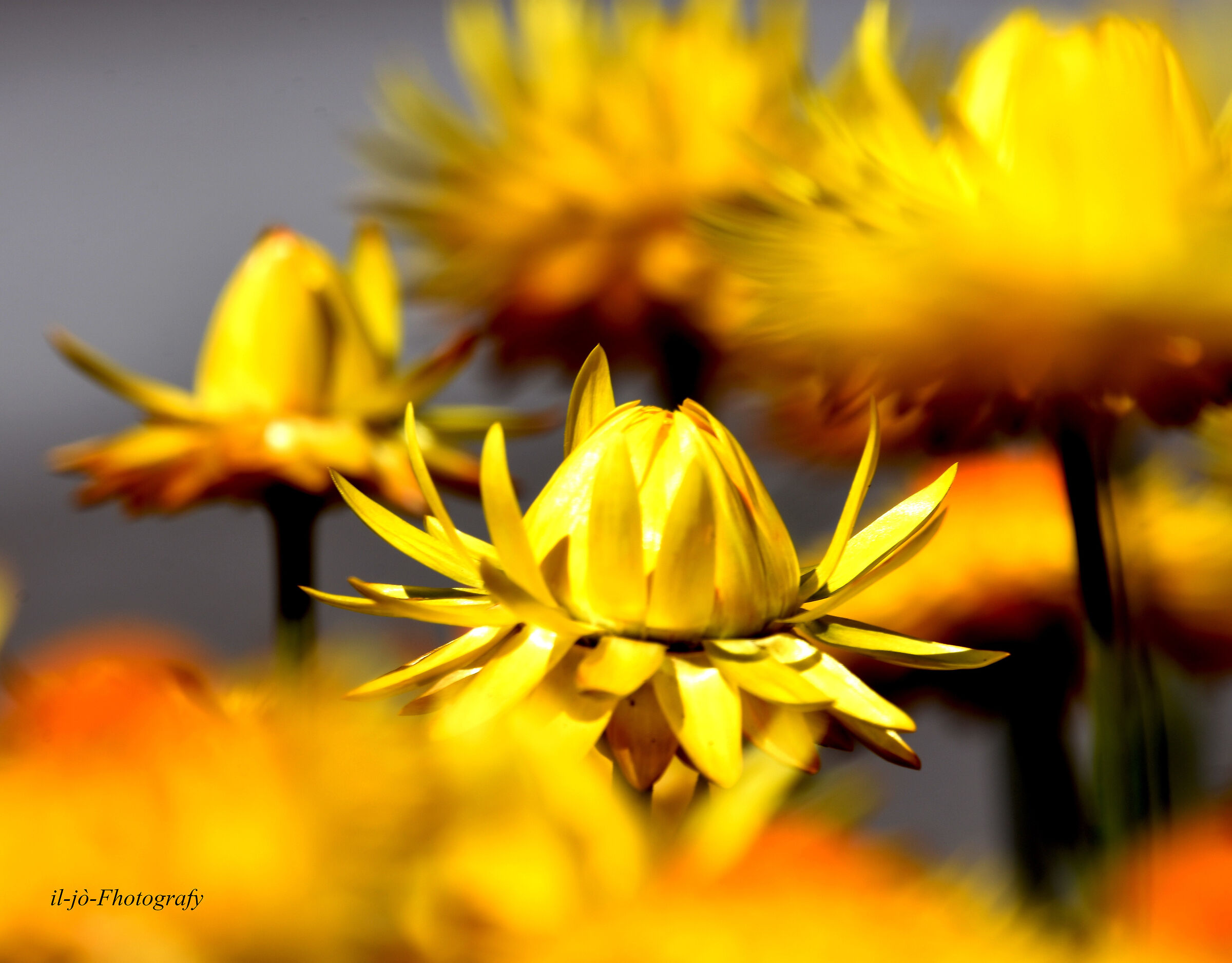 Untitled Photo