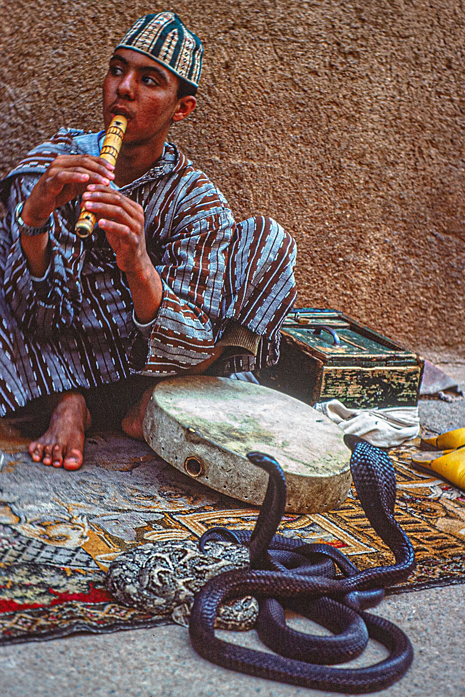 Incantatore di serpenti (?)