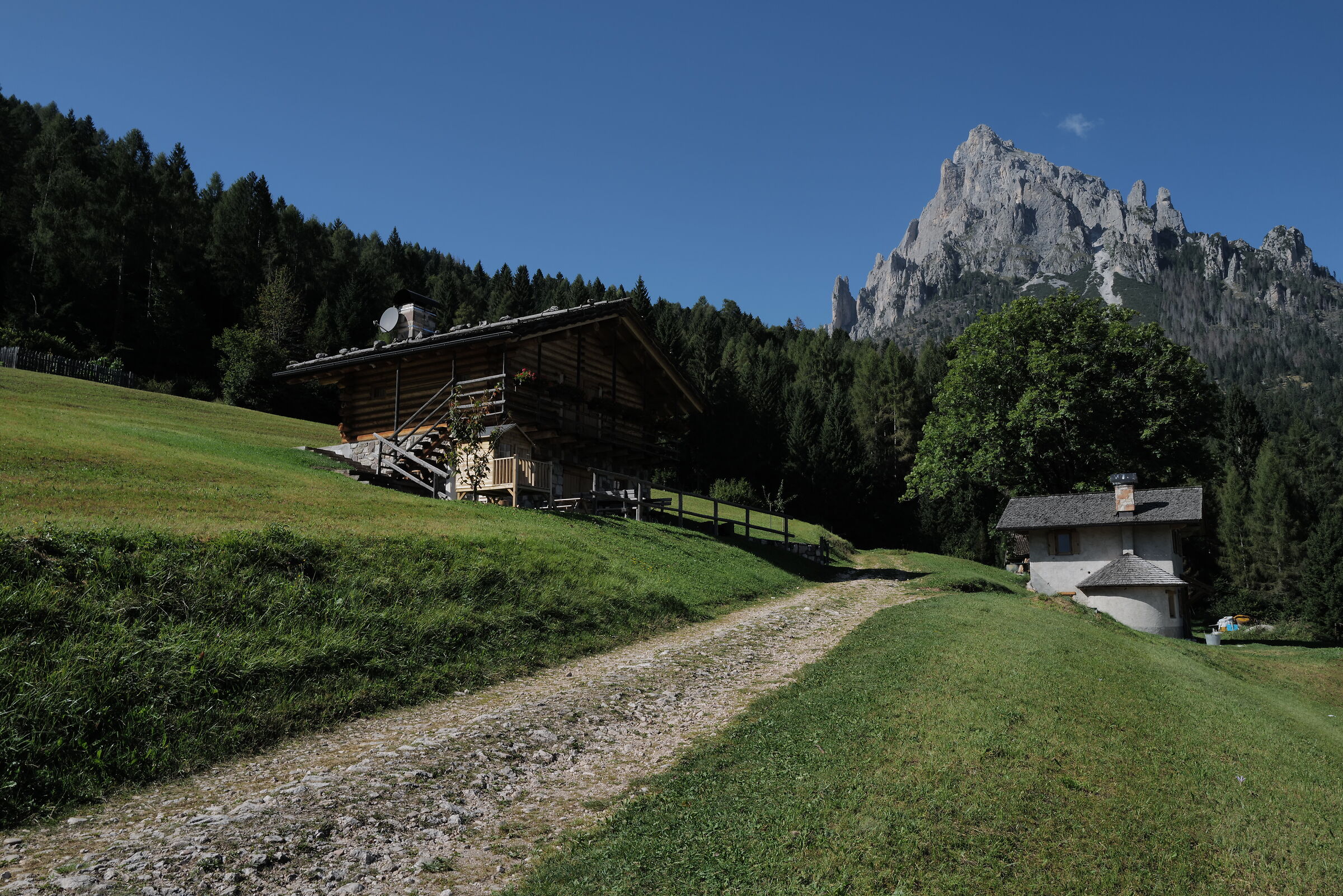 Meadows in Vla Canali