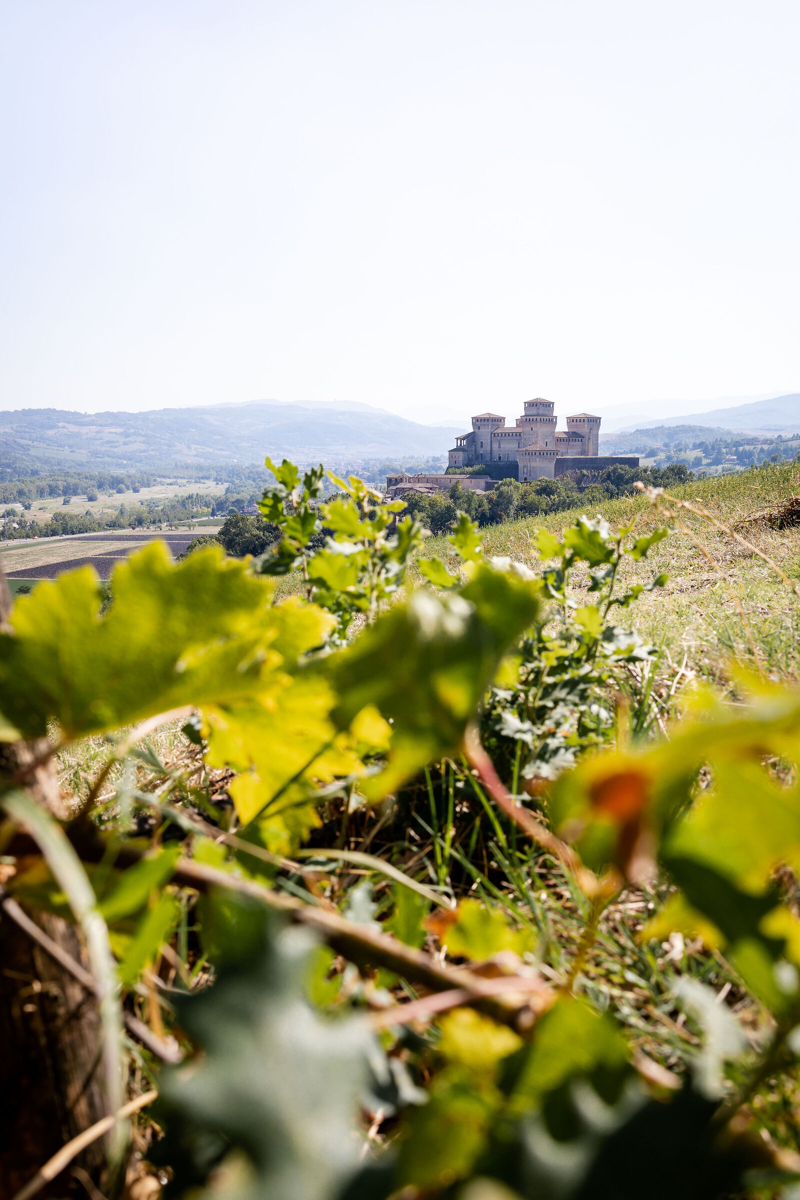 Castle of Torrechiara