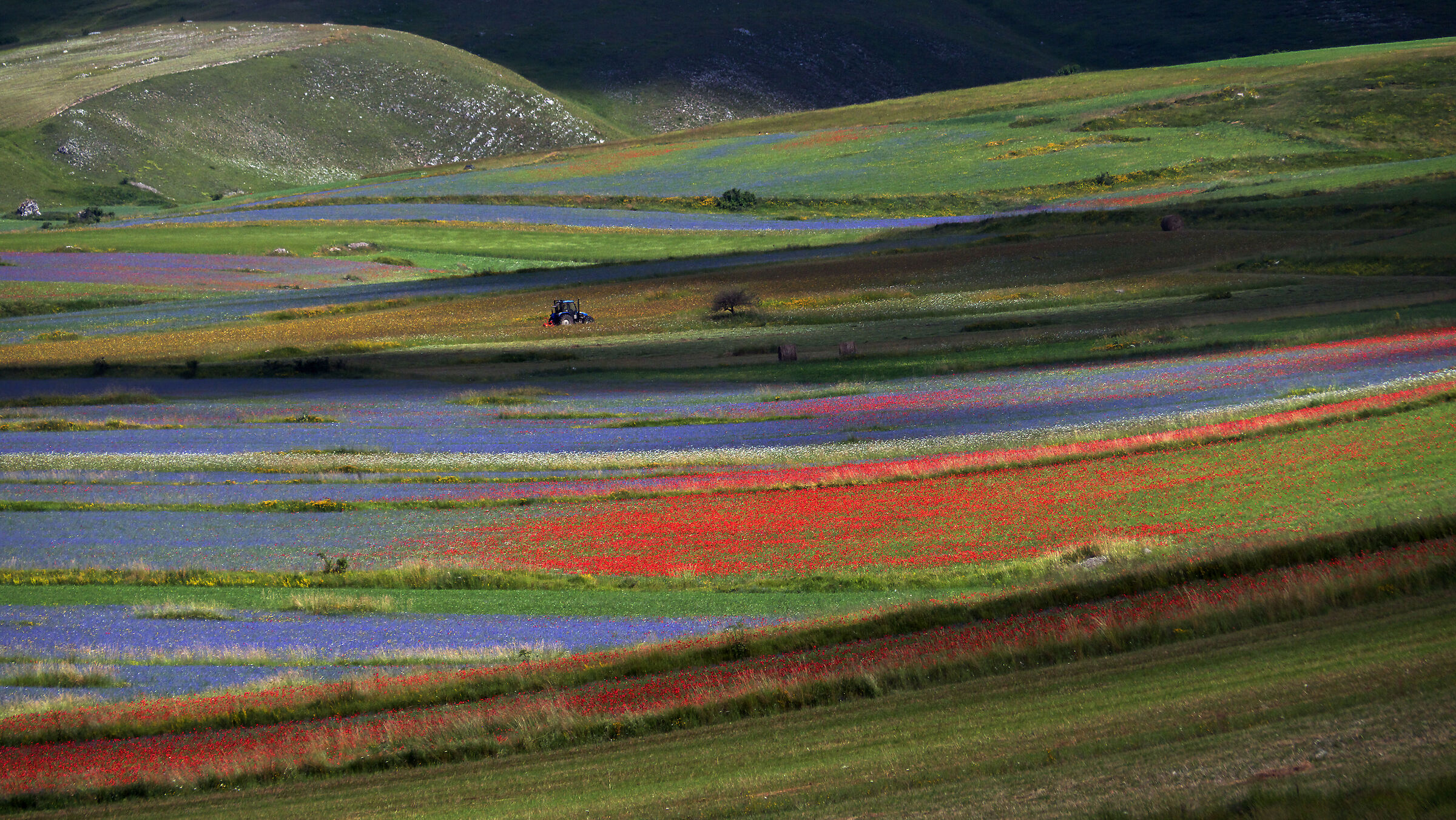 Landscape of my heart