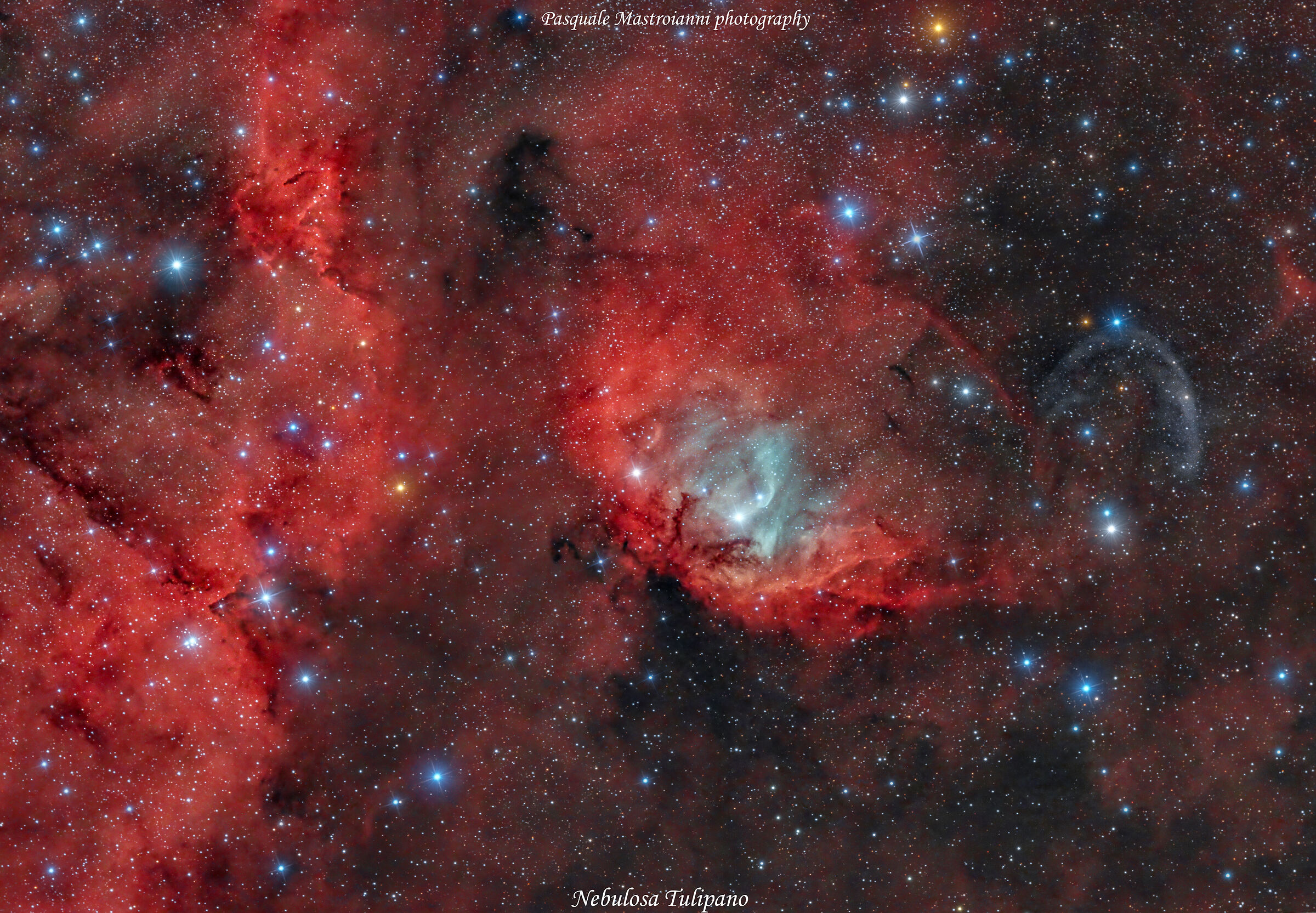Tulipano Nebula