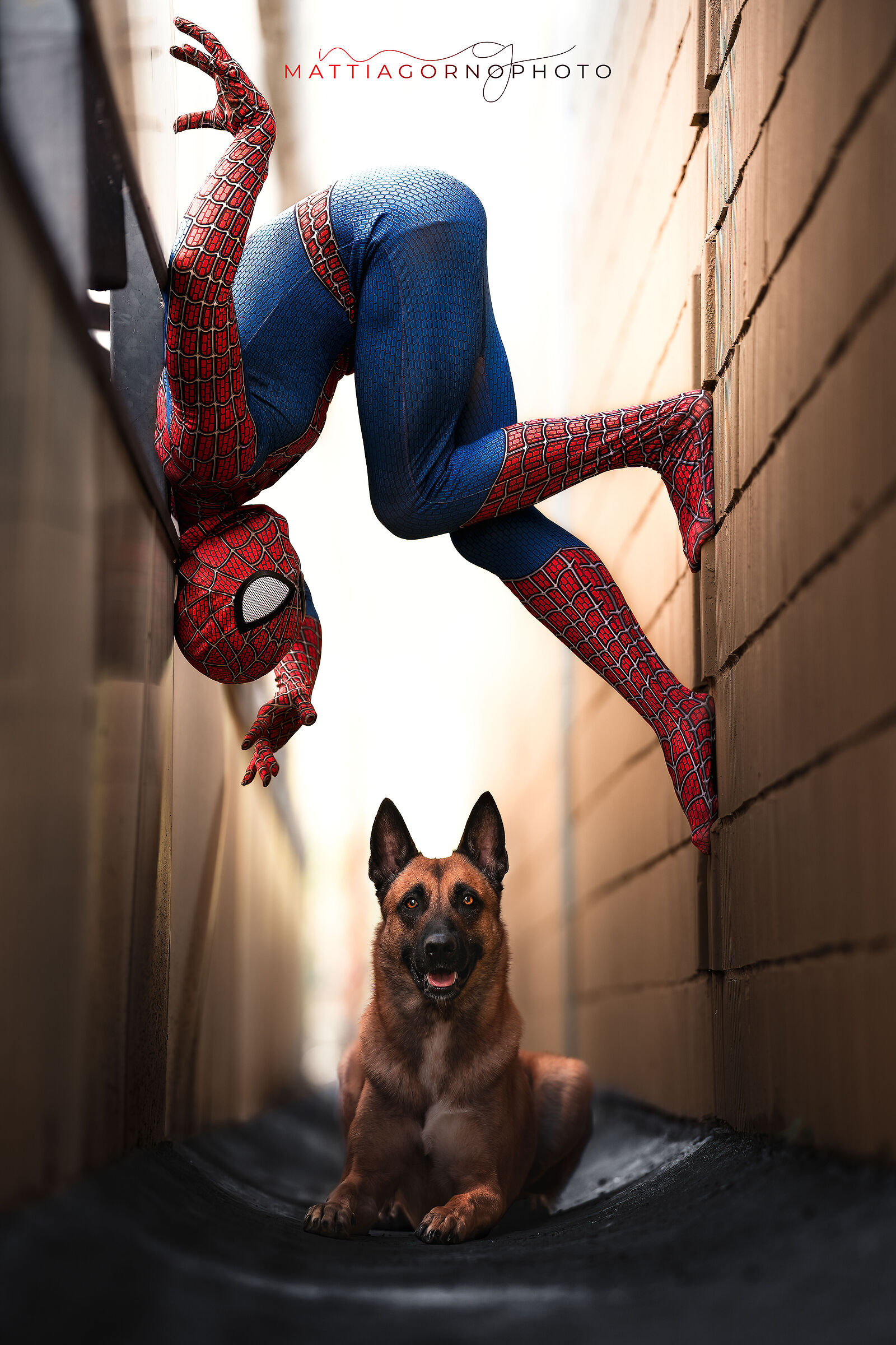 The Amazing Spider-Man: Model Willy & Peter Parker