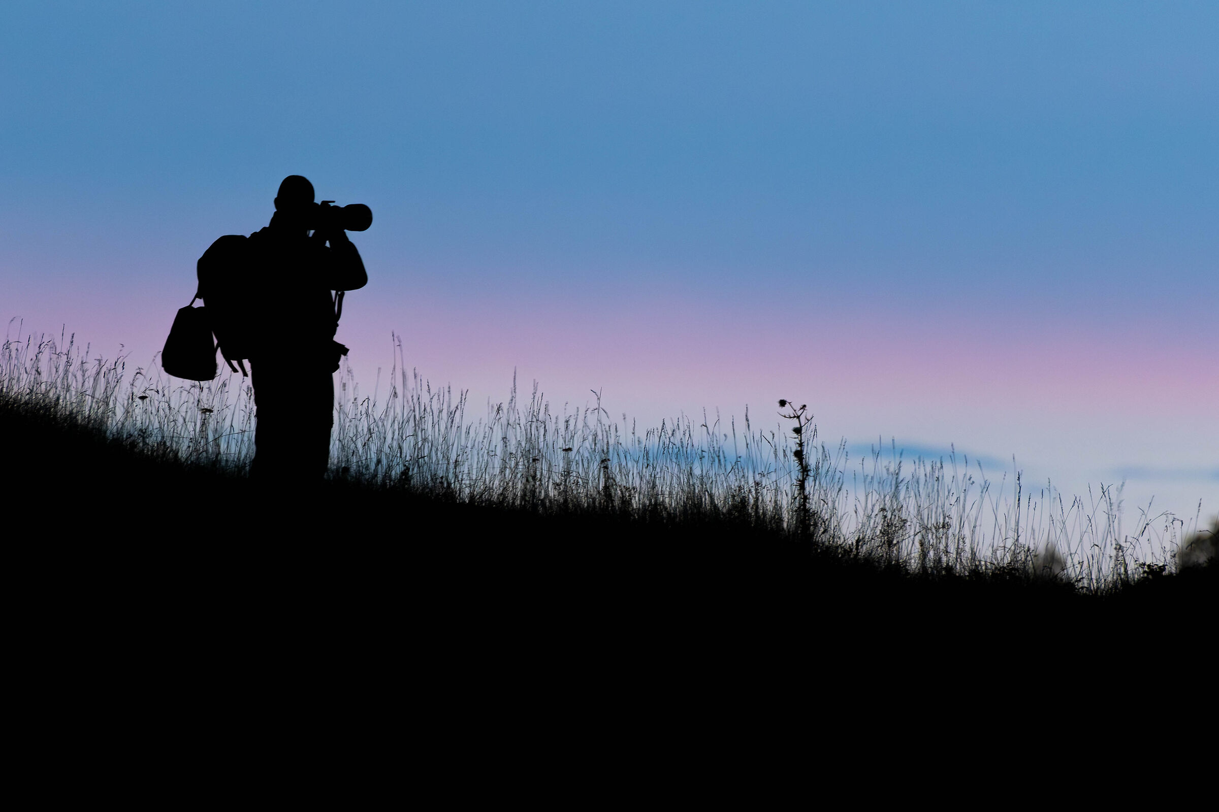 In the kingdom of the Deer