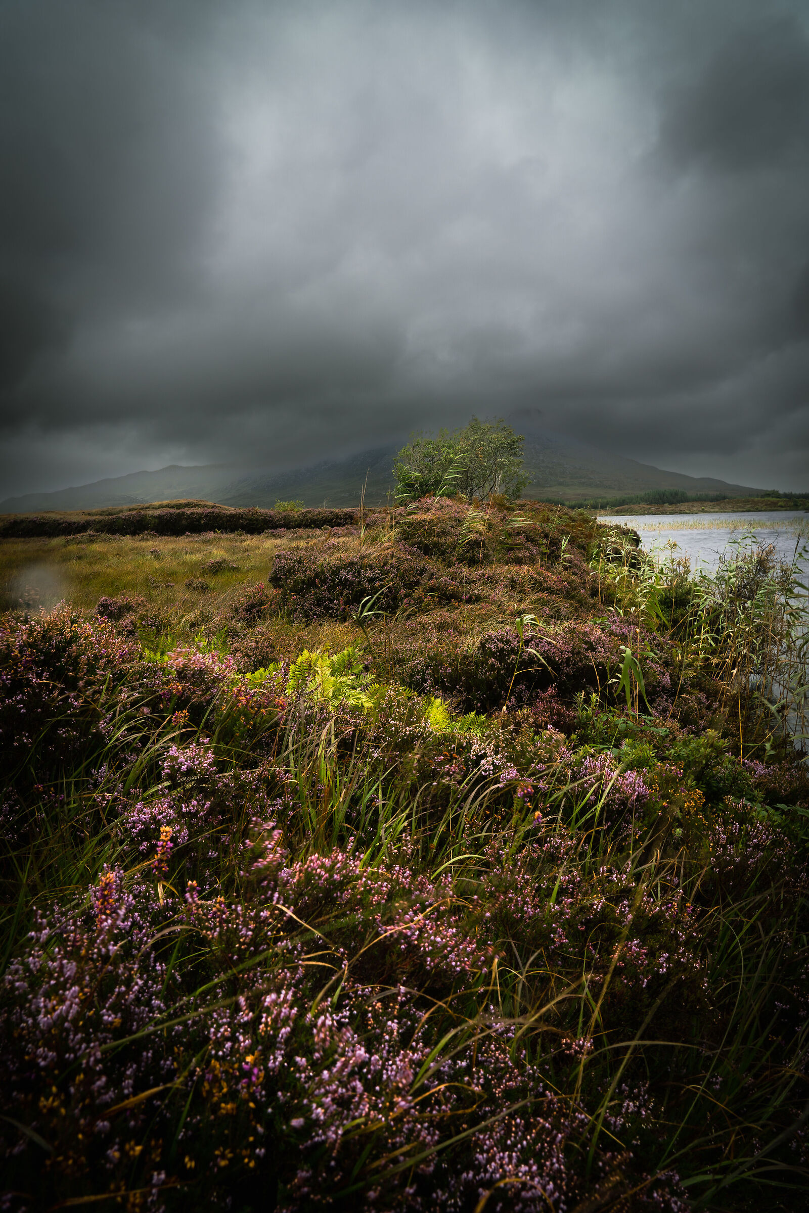 Connemara