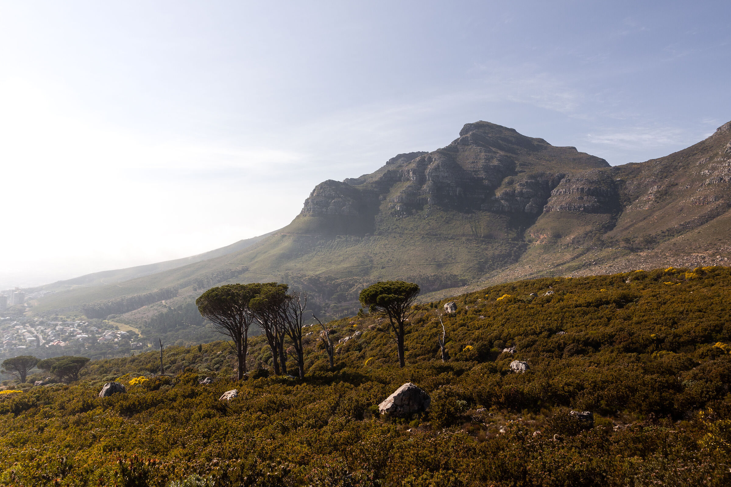 Table Mountain view