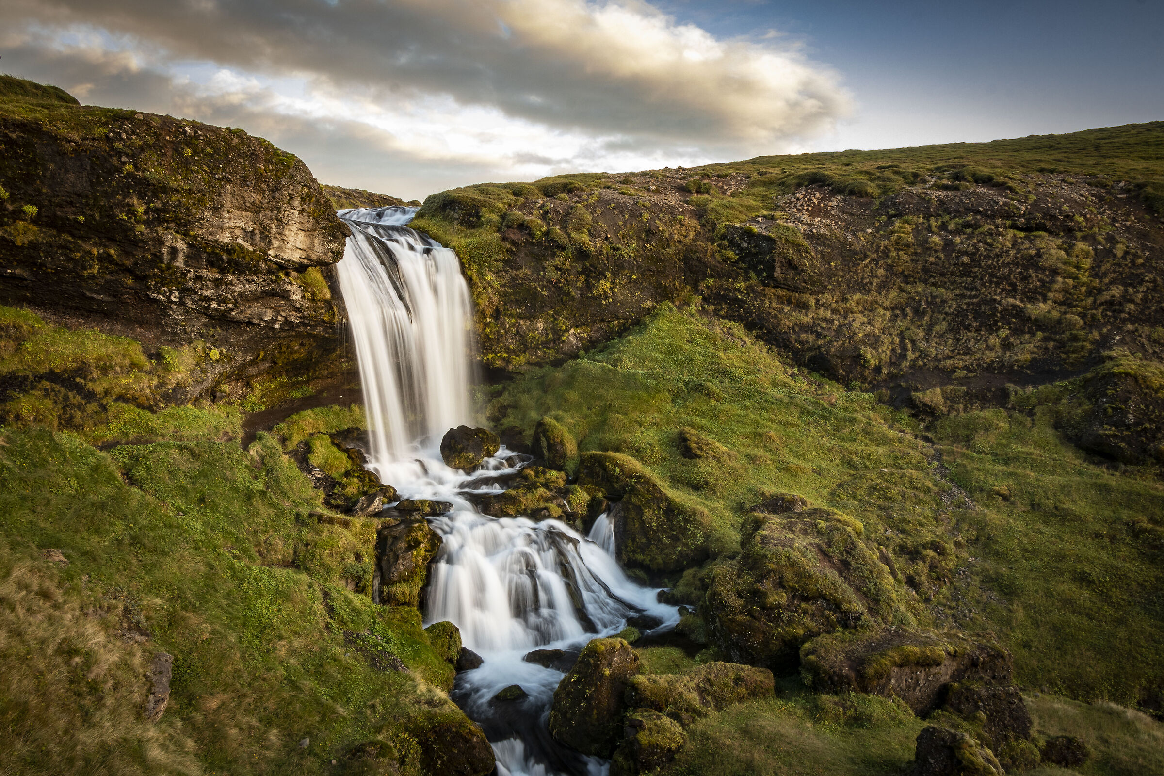 Sheep waterfall
