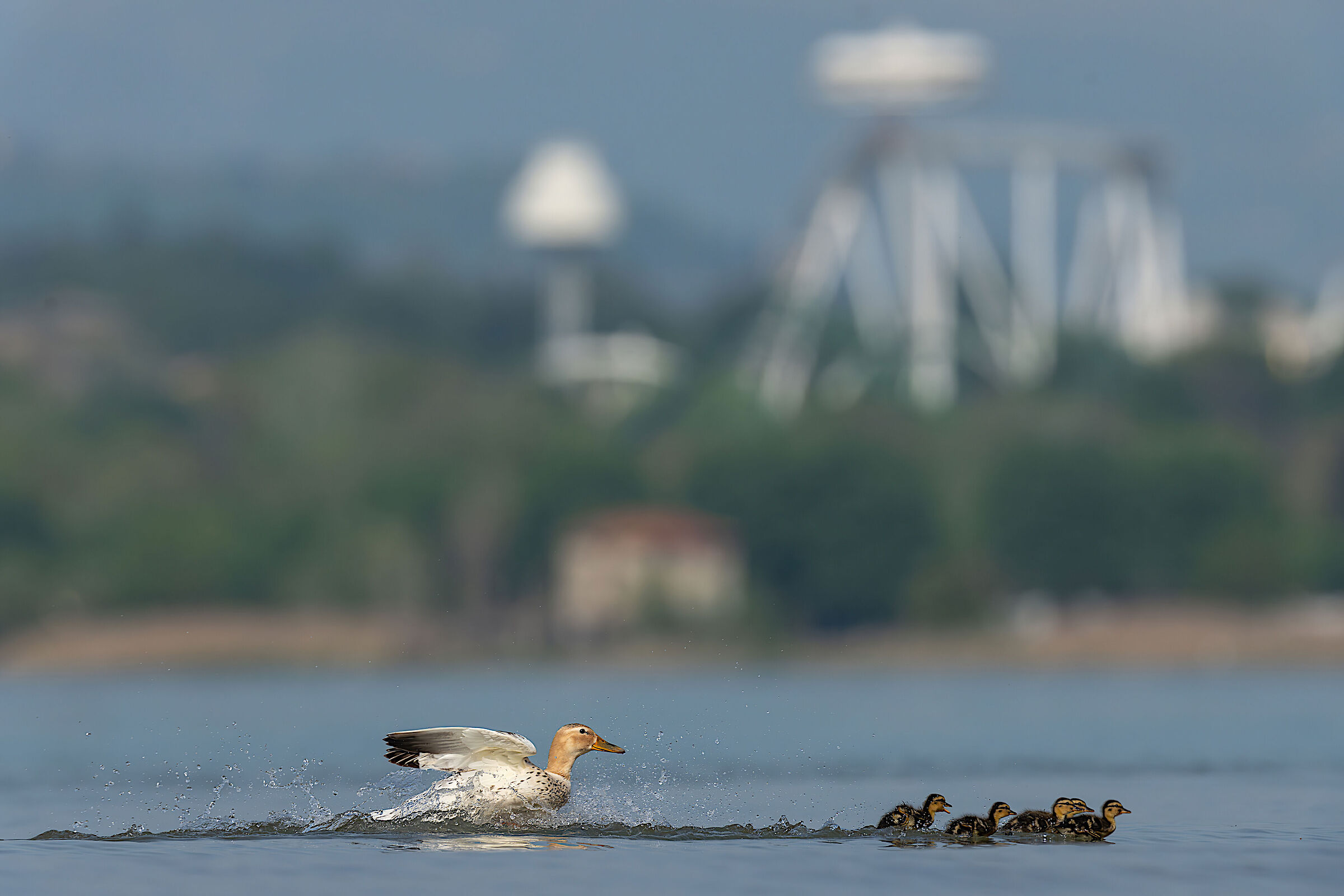 Gardaland arriviamo !!