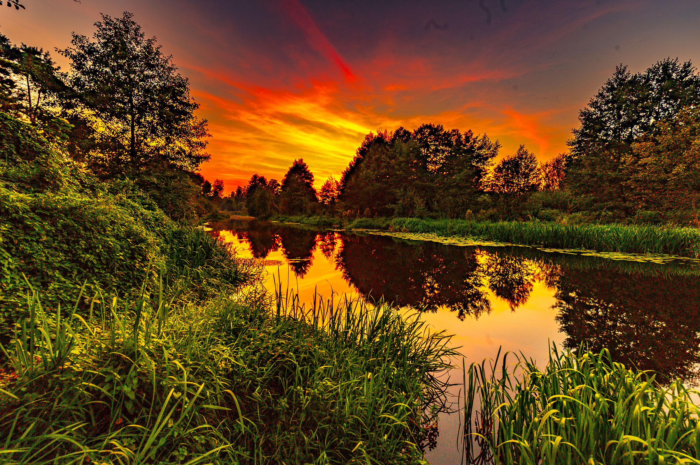 The luminance