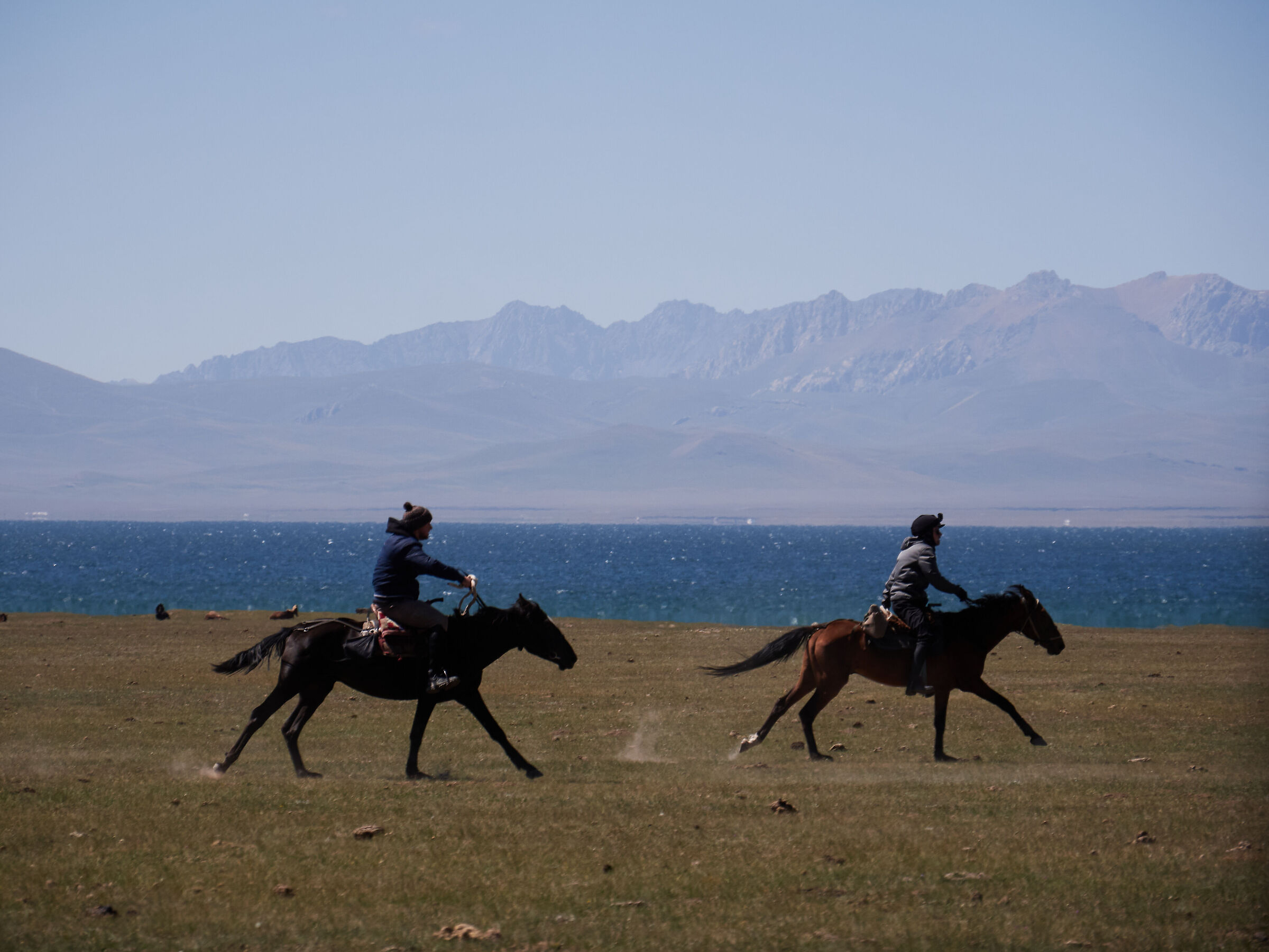 I cavalieri della steppa