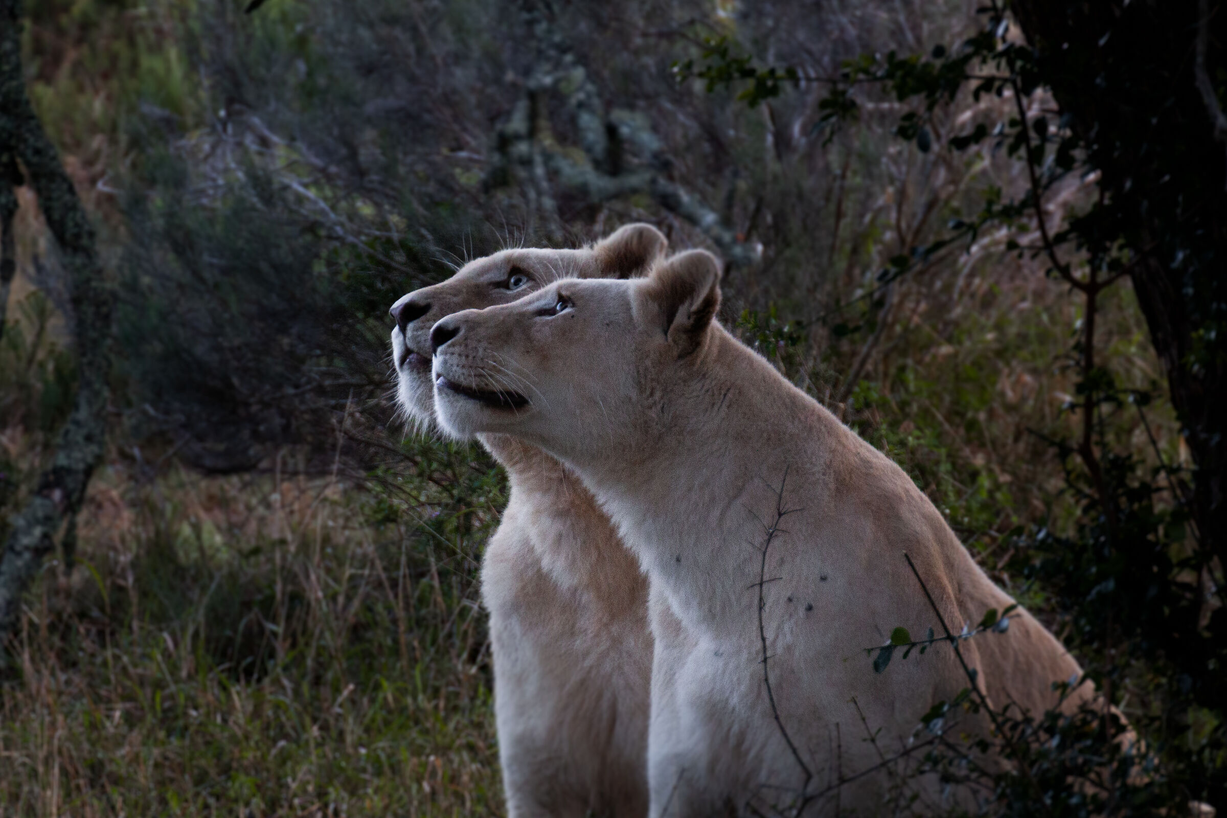 Waiting for sunshine