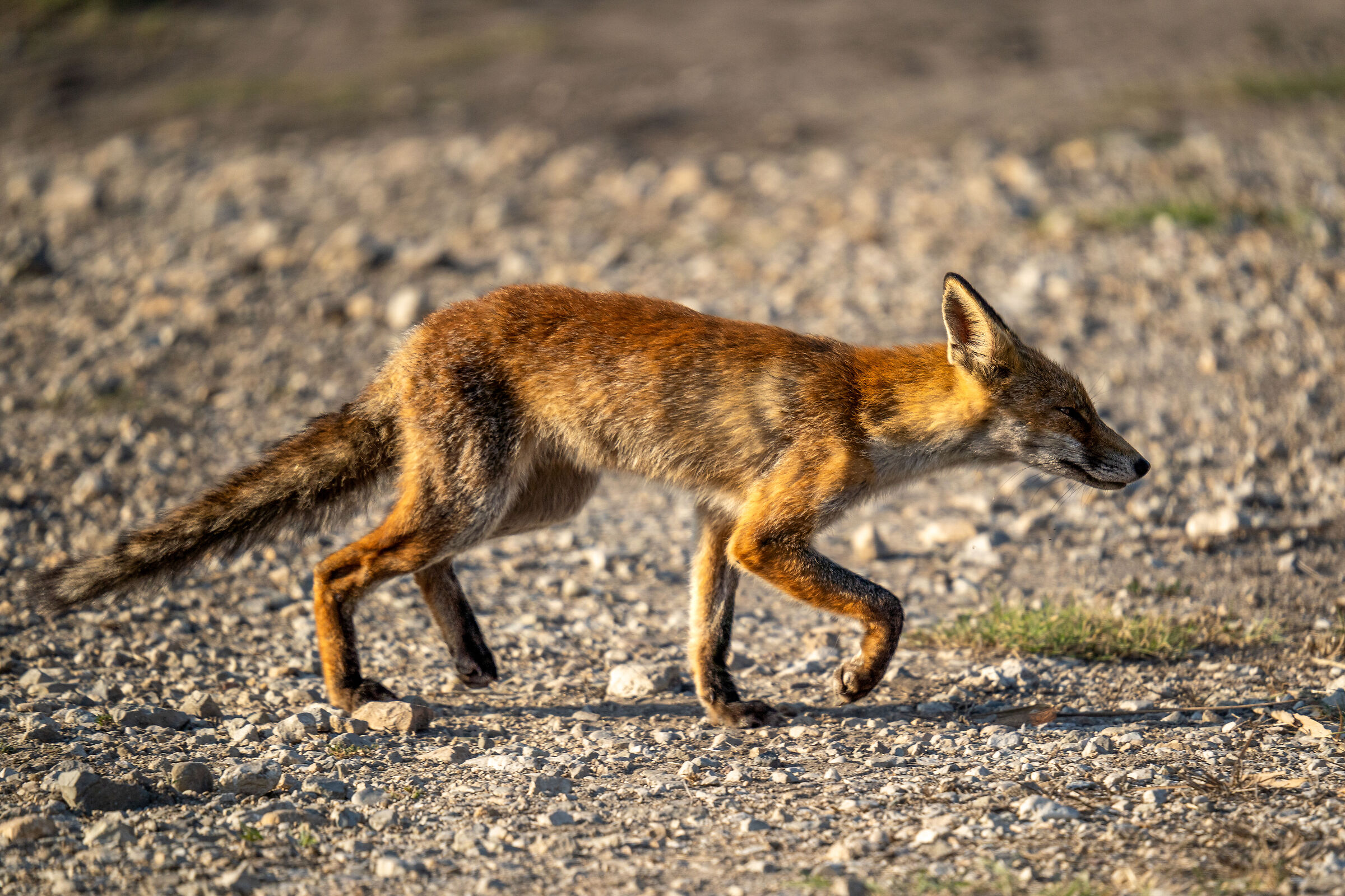 non ci sono, sono invisibile