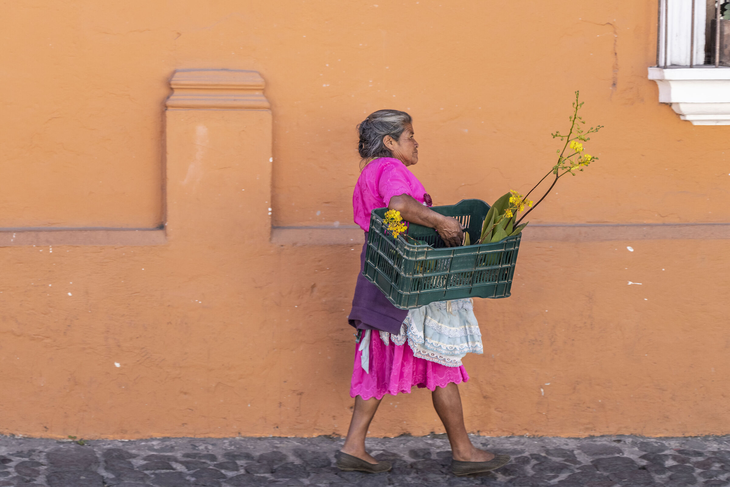 anziana signora con fiori