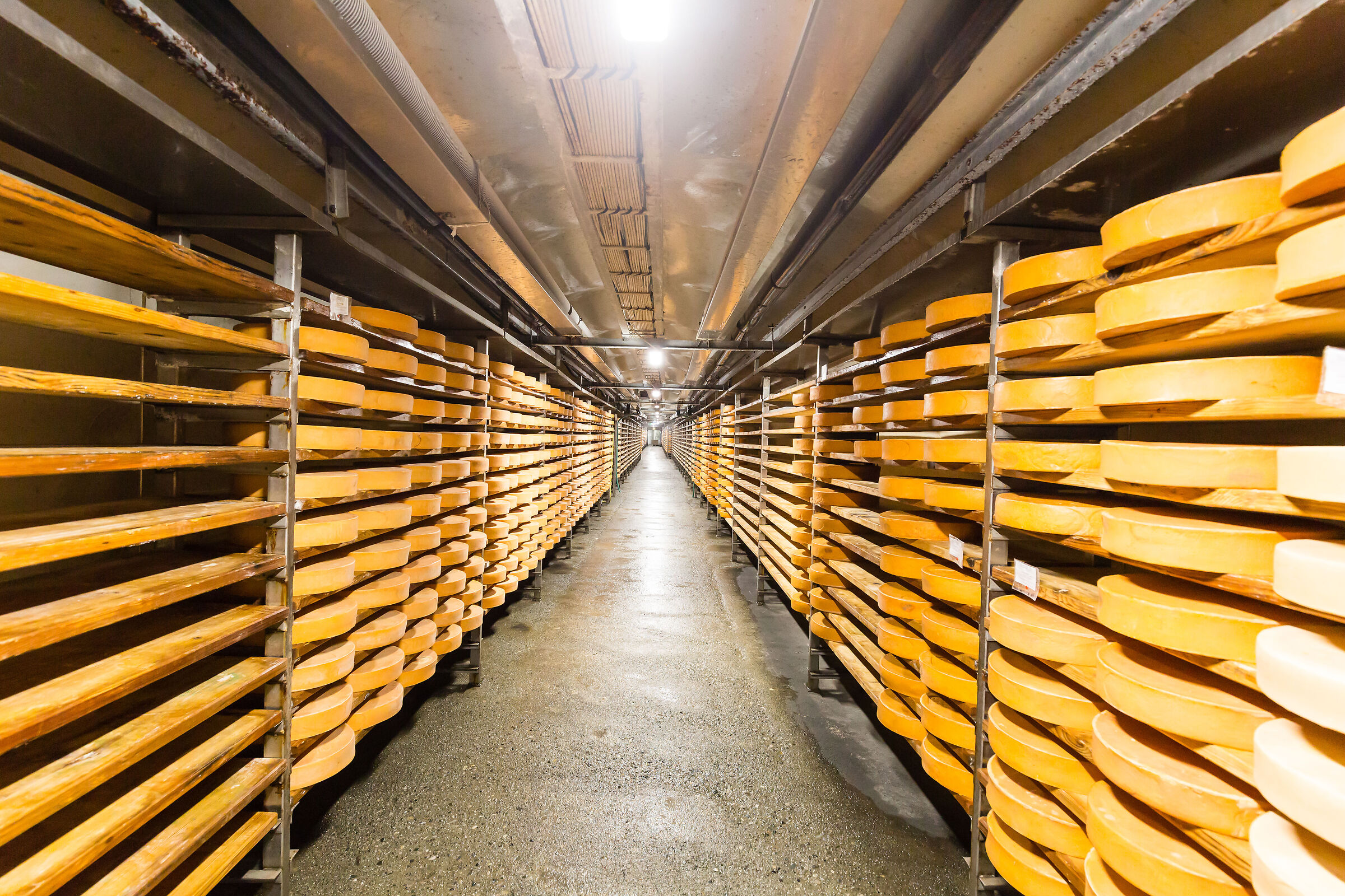 Fontina cheese paradise