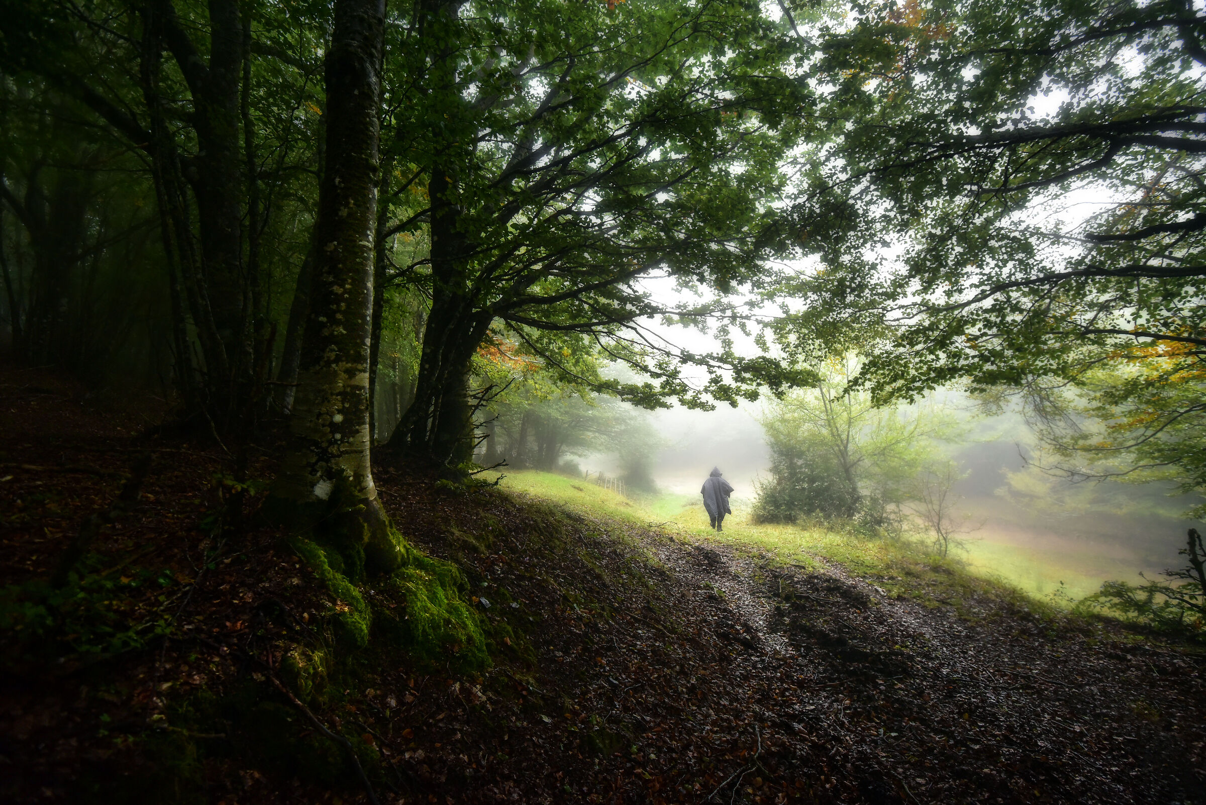 Spooky atmospheres