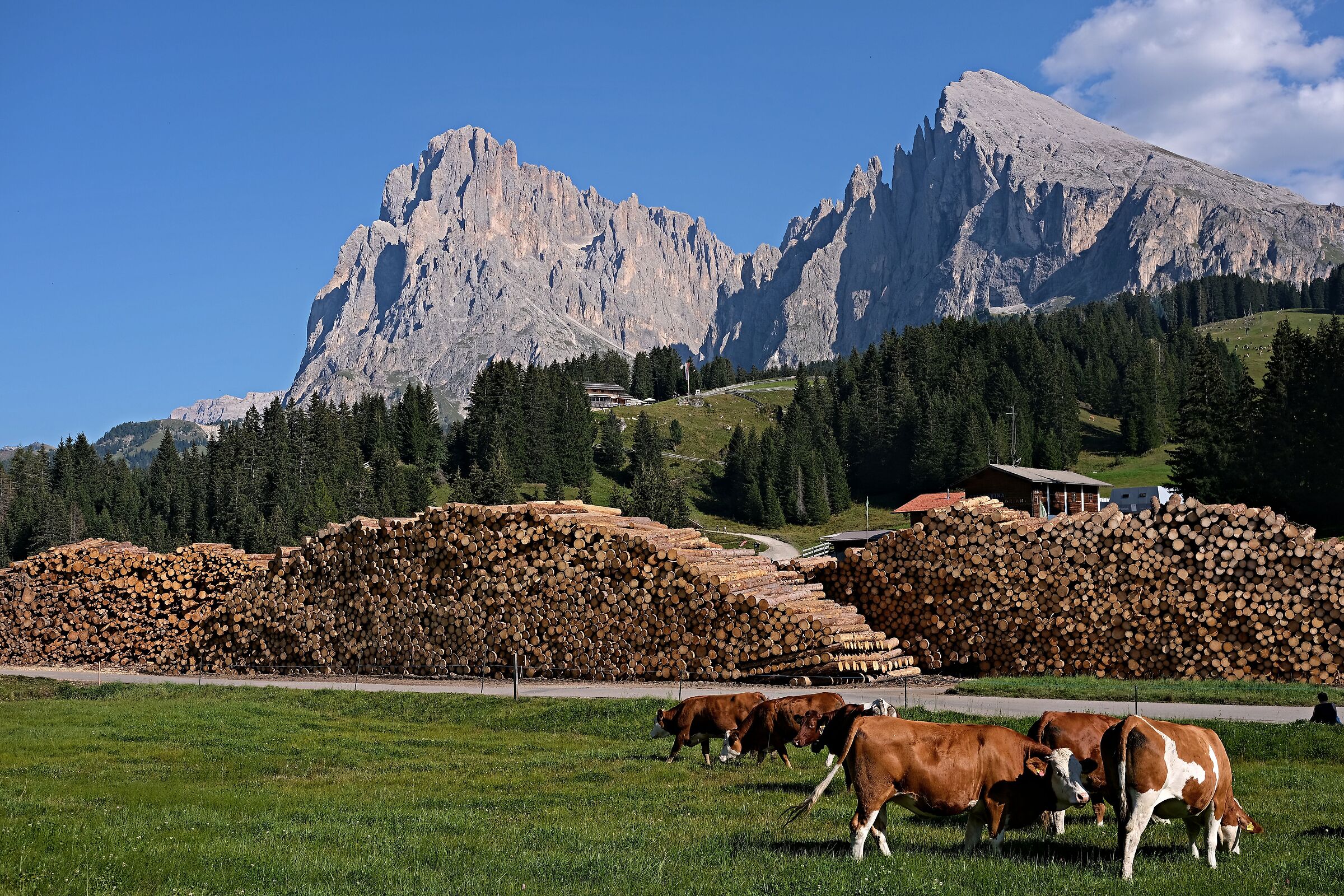 Dolomiti