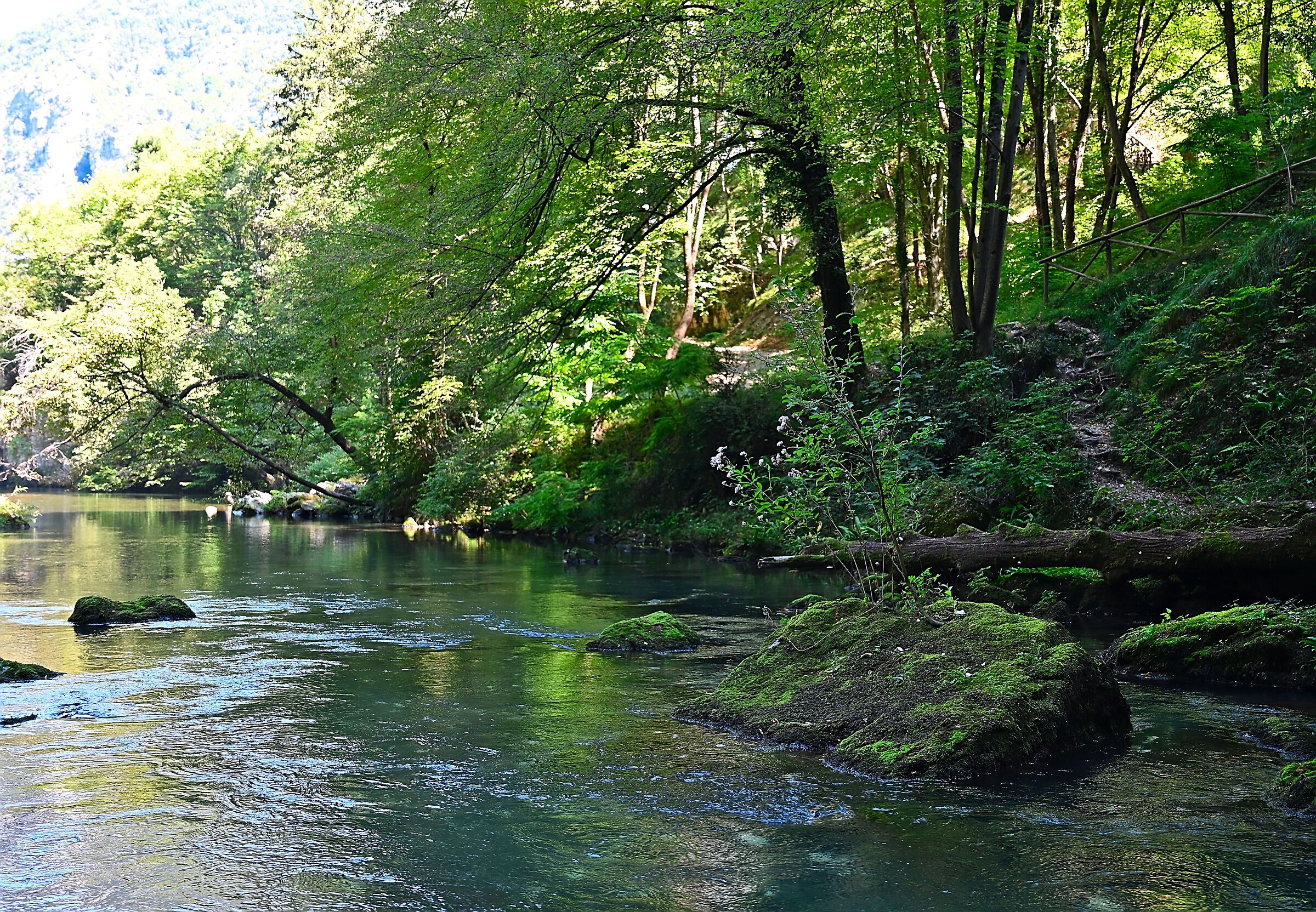 Oliero River