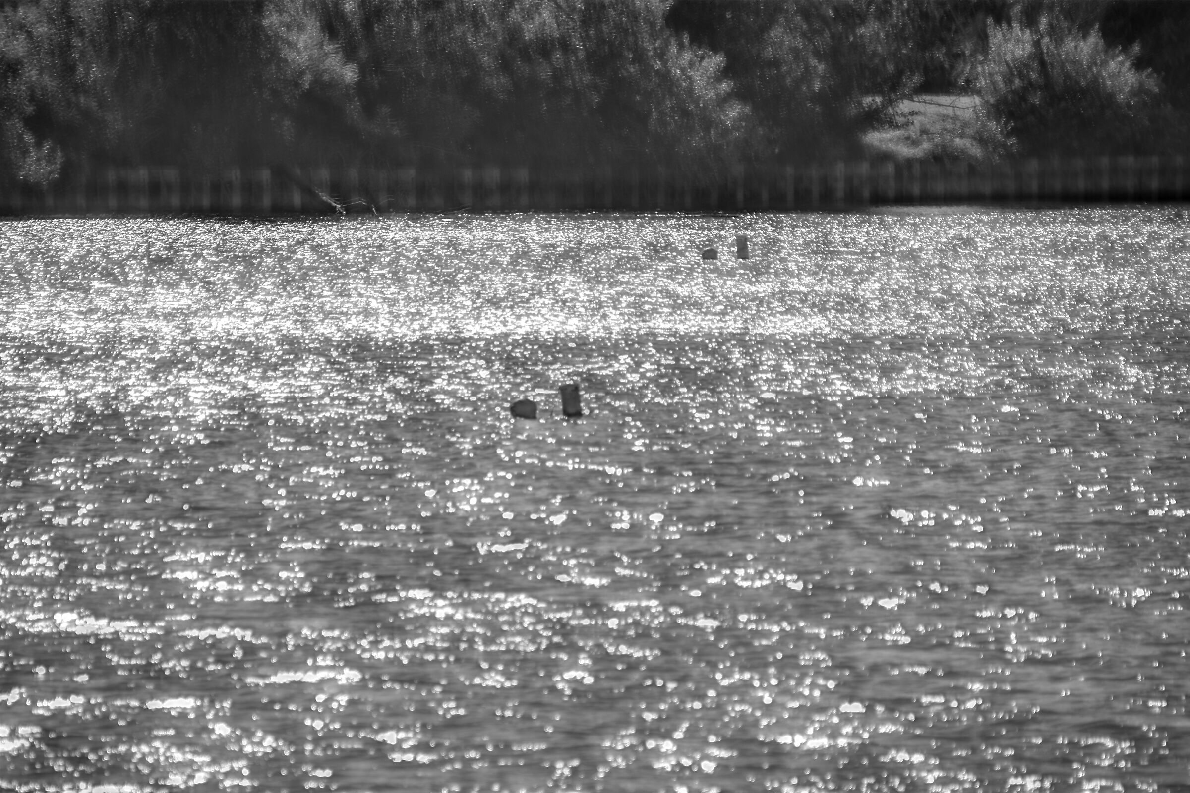 An afternoon at the lake