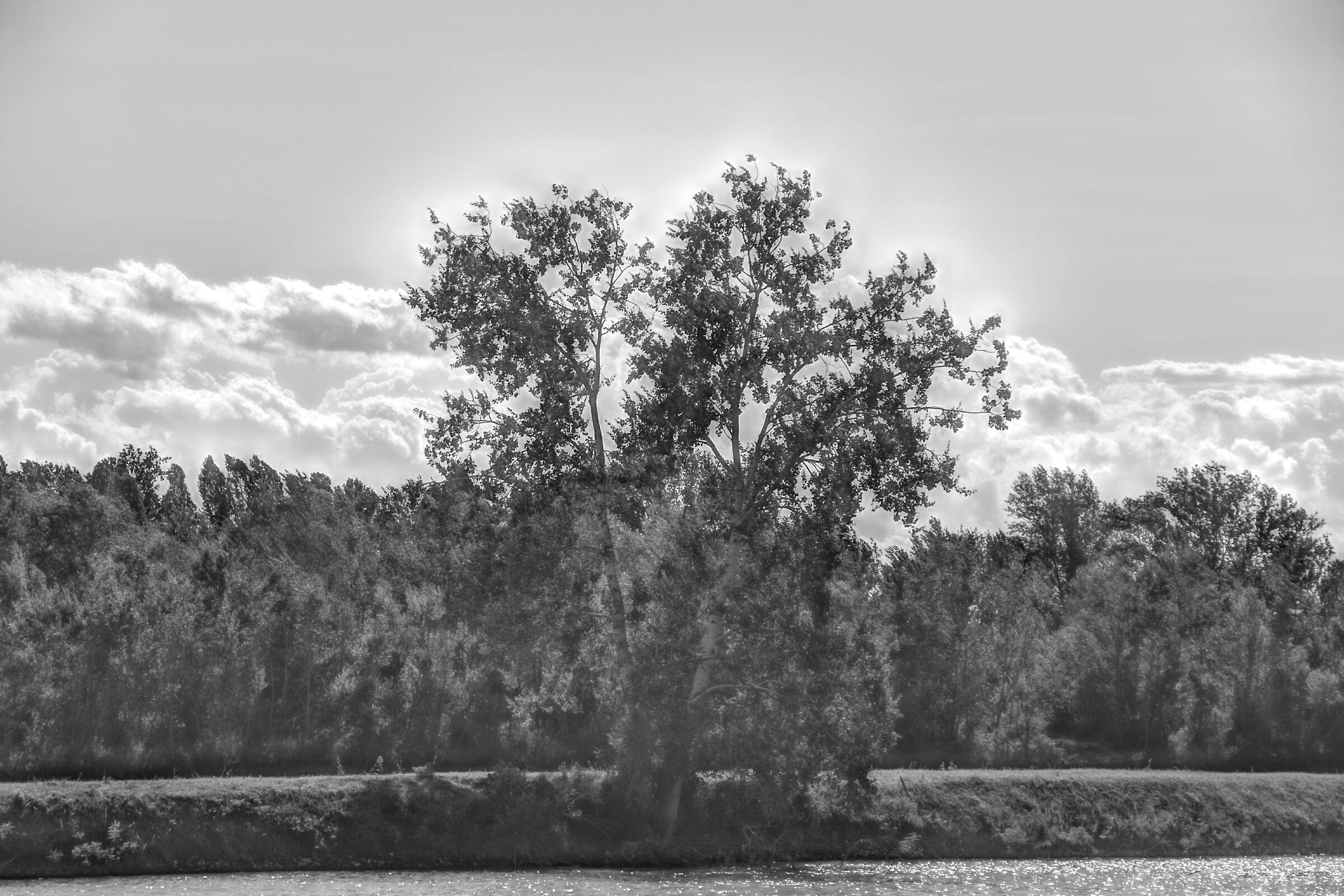 An afternoon at the lake 2