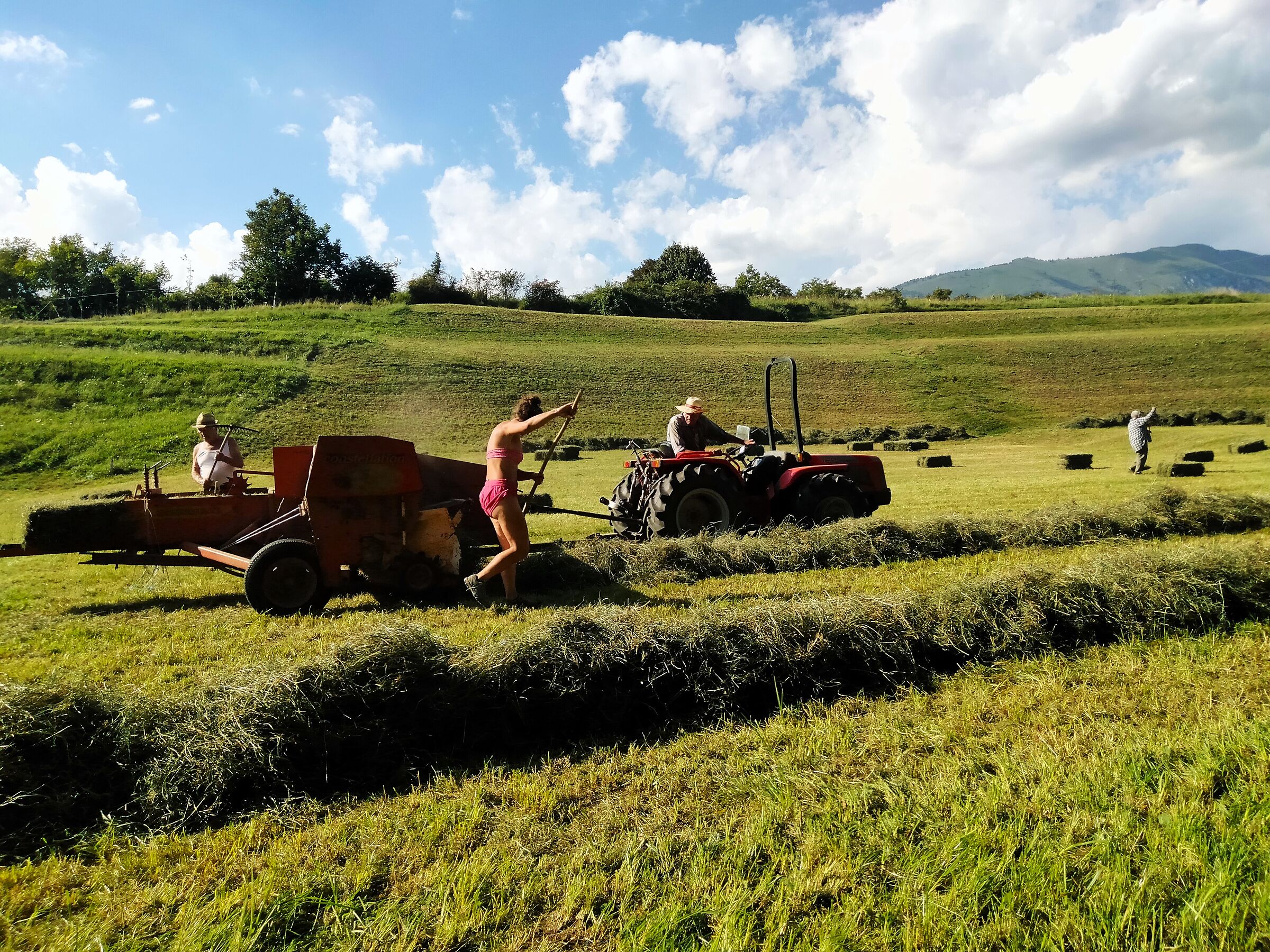 "Haymaking in Val Seriana"