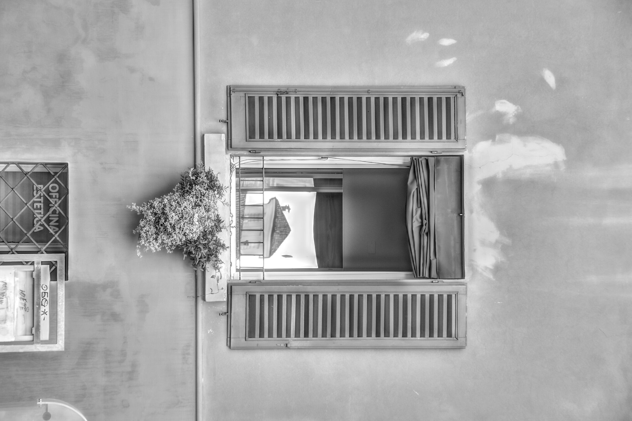 Sbirciando nella finestra