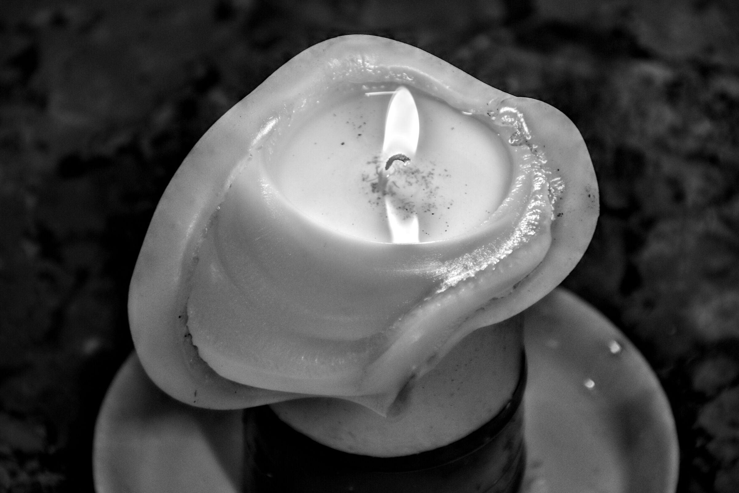 Petalous candle