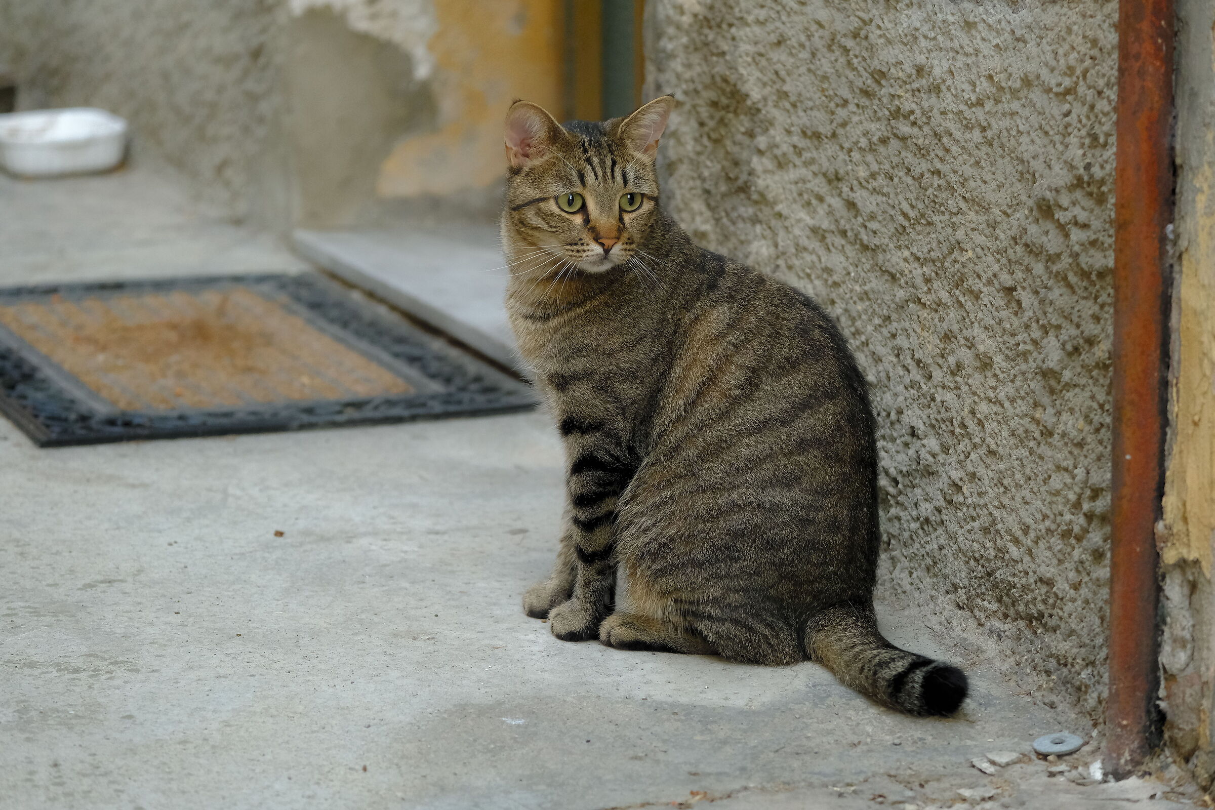 Chi mi chiama?