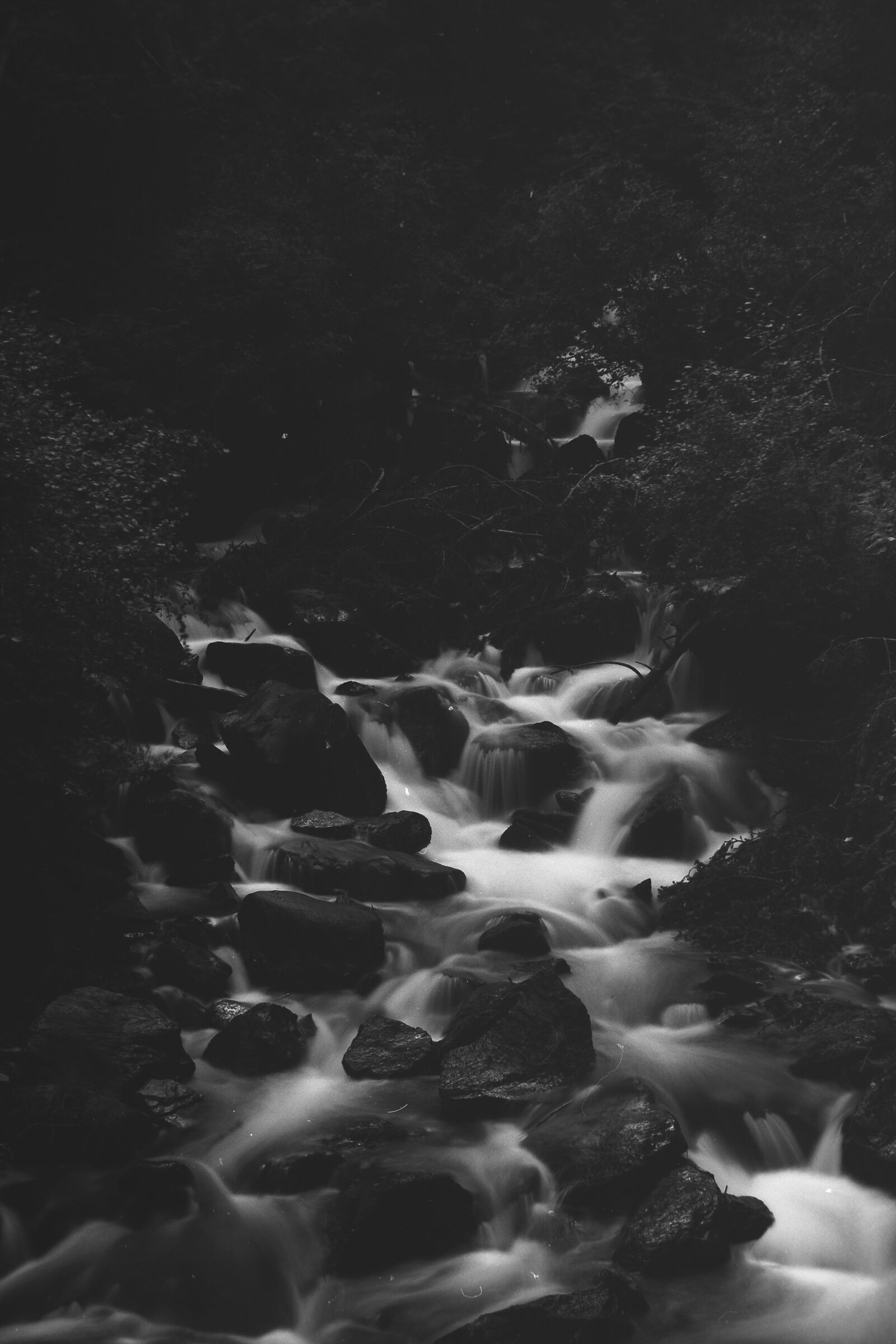 Scorci dalla Val di Rabbi