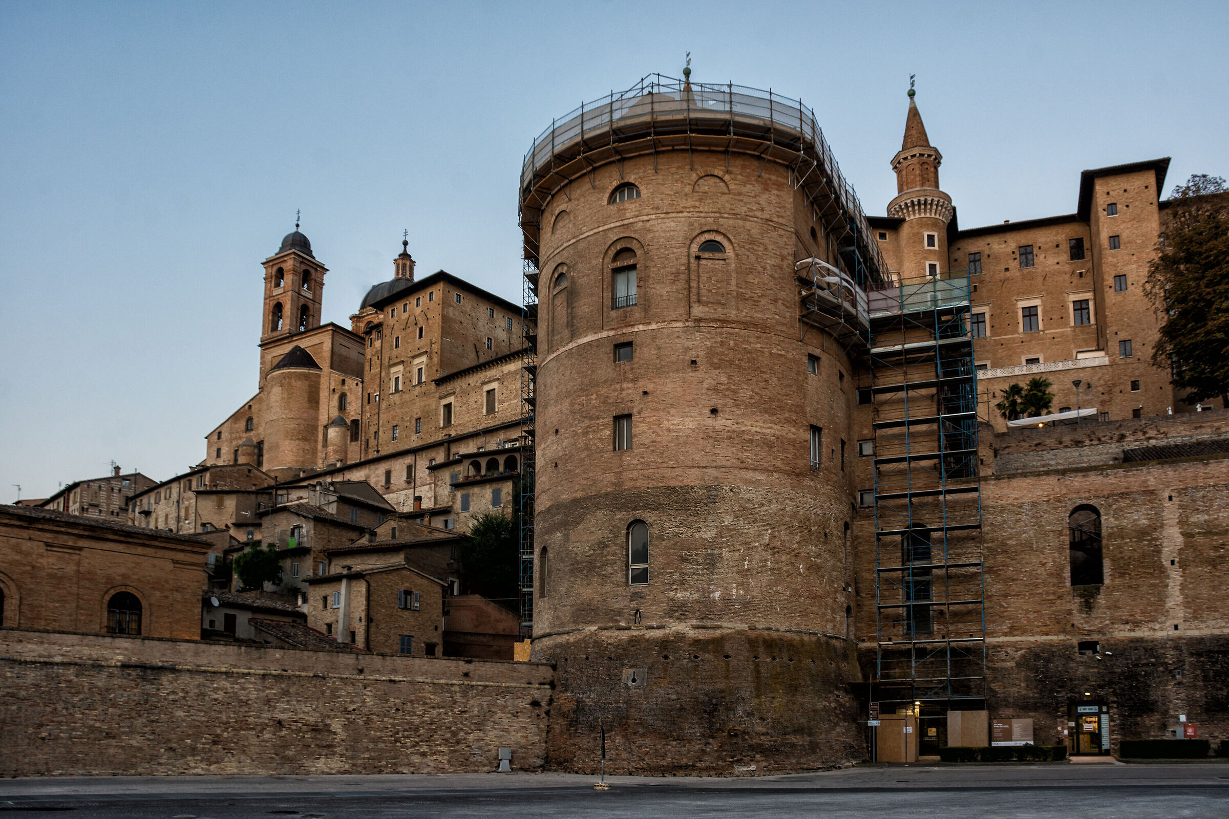 Urbino