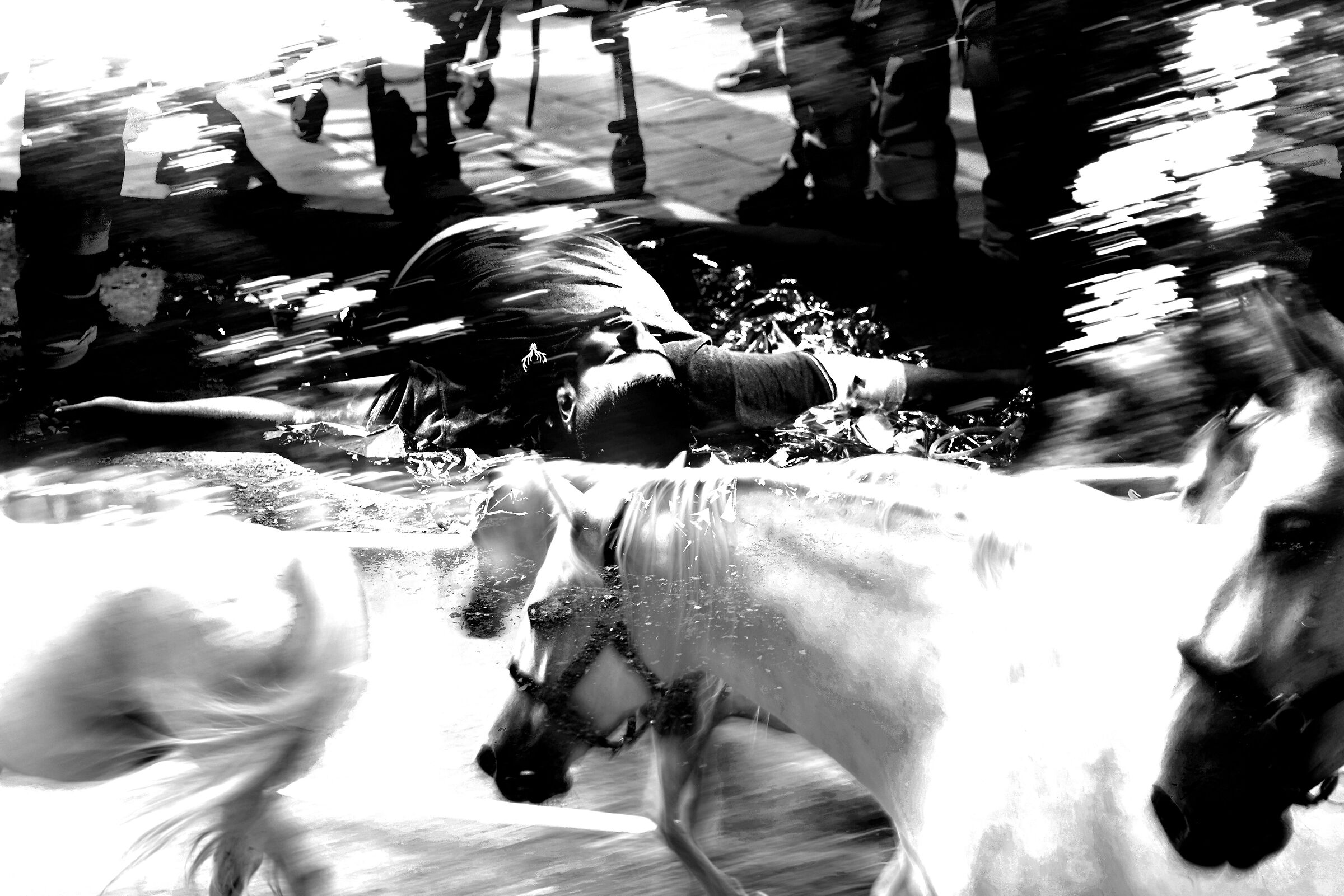 Guernica: Trieste, 2023