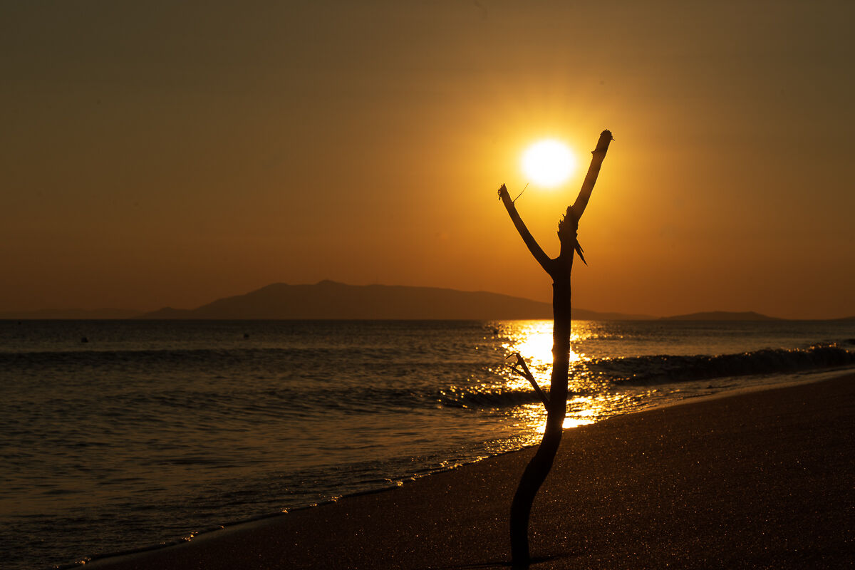 Pescia Romana (VT) - Italy