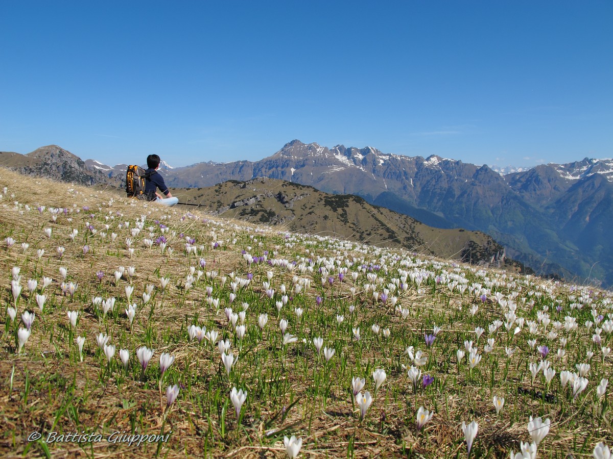 Respiro - Belle Orobie