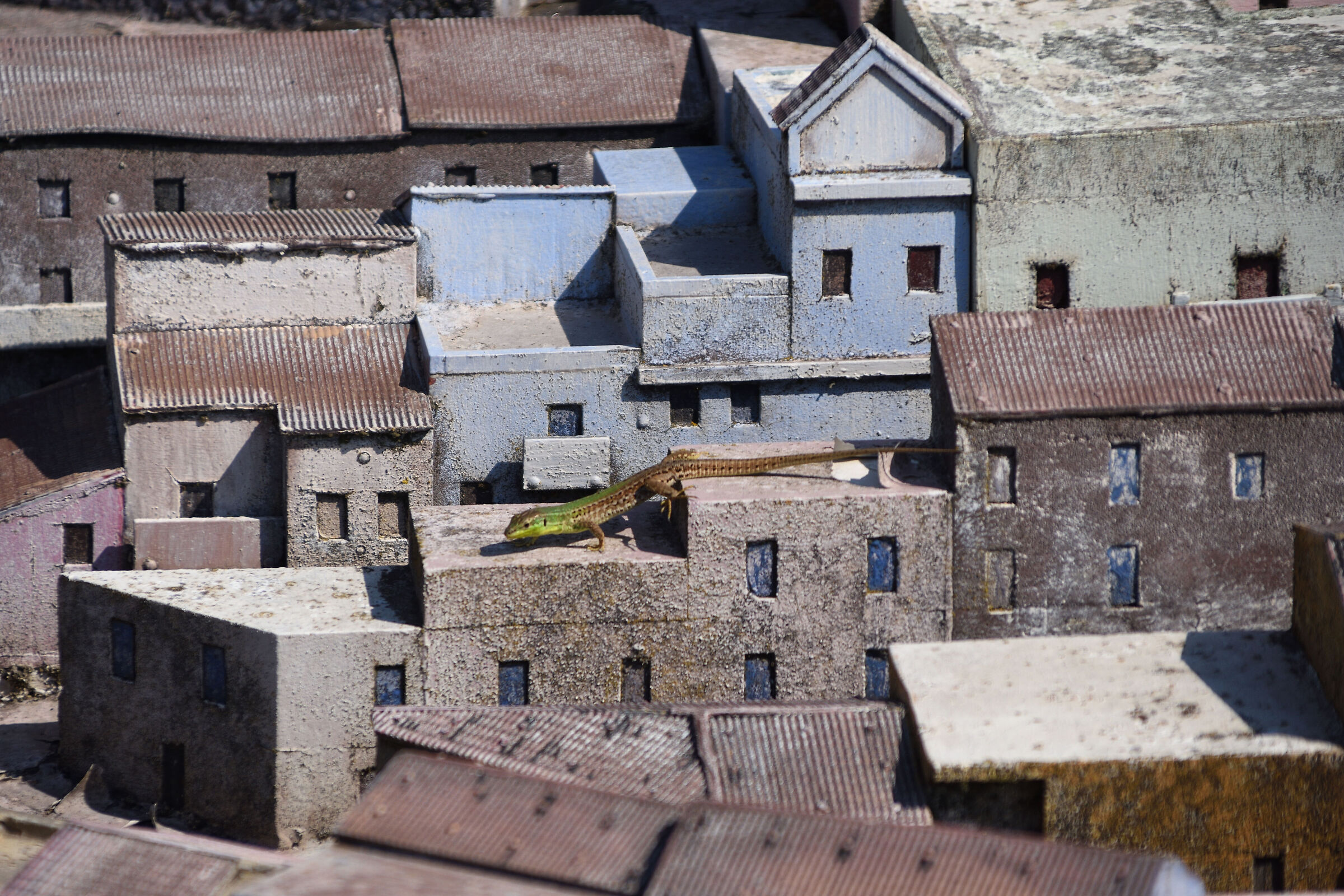 Italy Inminiatura: giants on the attack