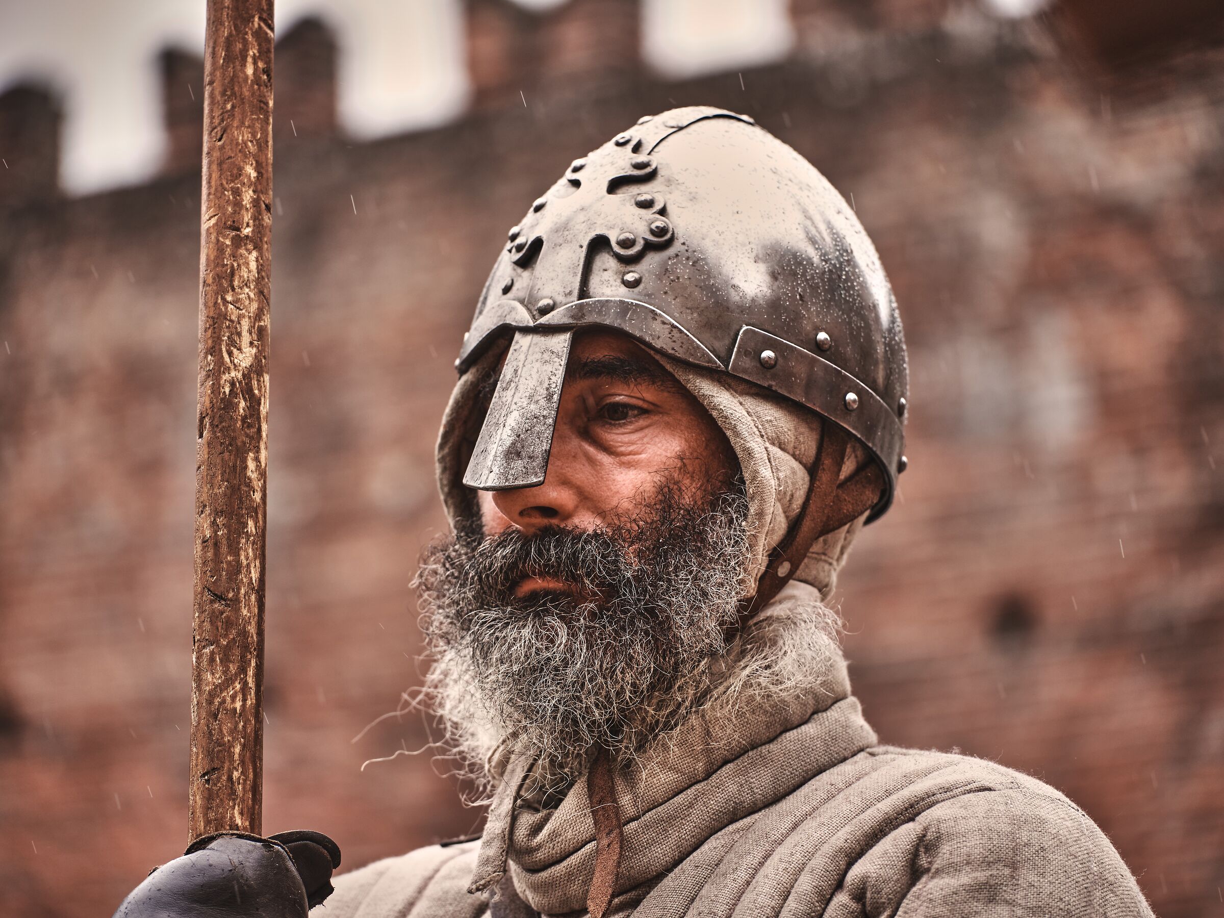 Portrait of a soldier of the thirteenth century