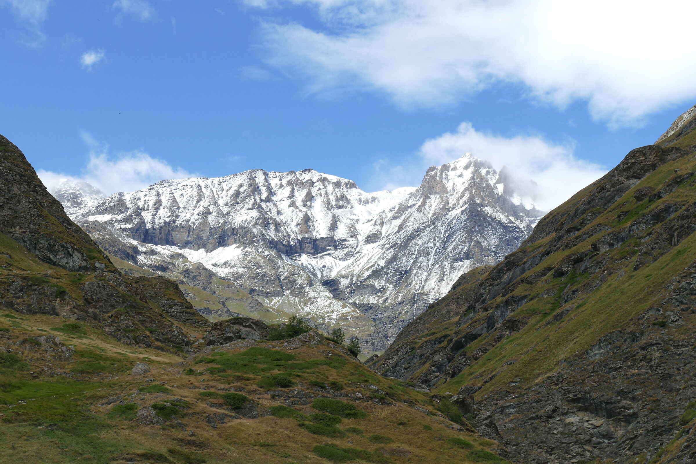 Panorama