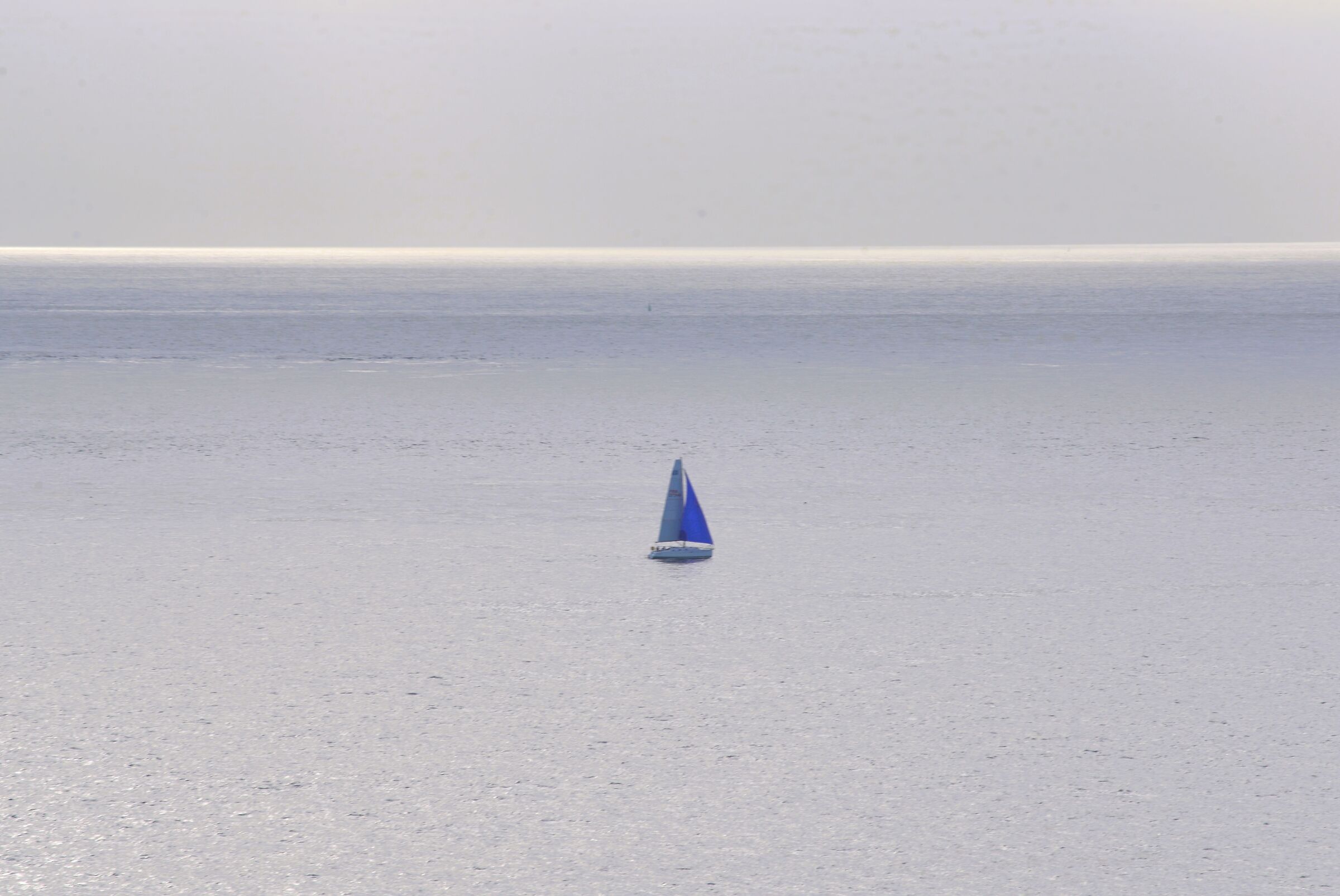 Fascinating solitude