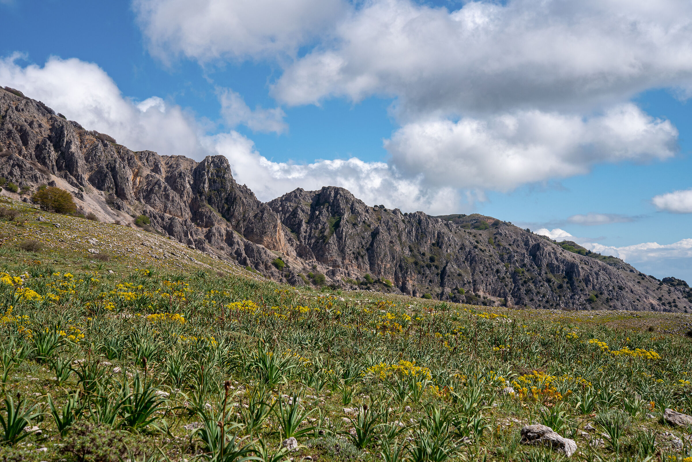 Quacella amphitheatre in spring