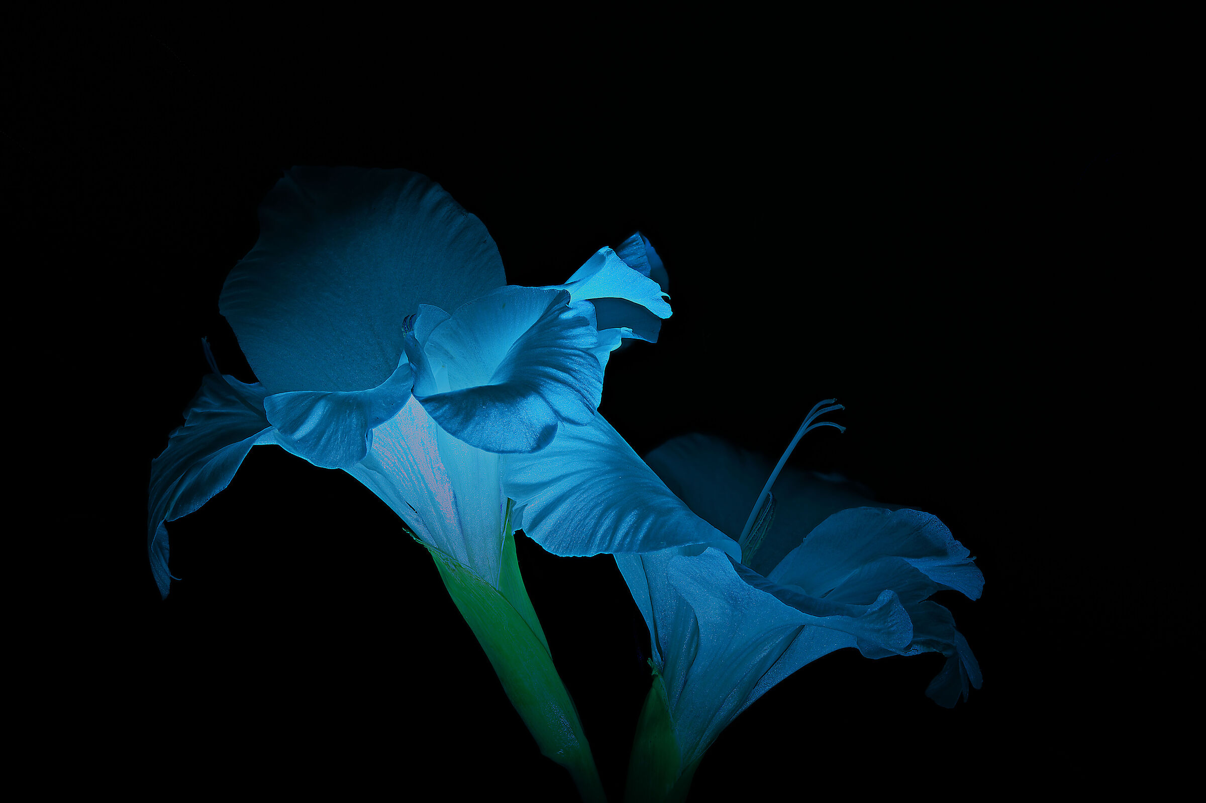 La dolce invadenza del buio...